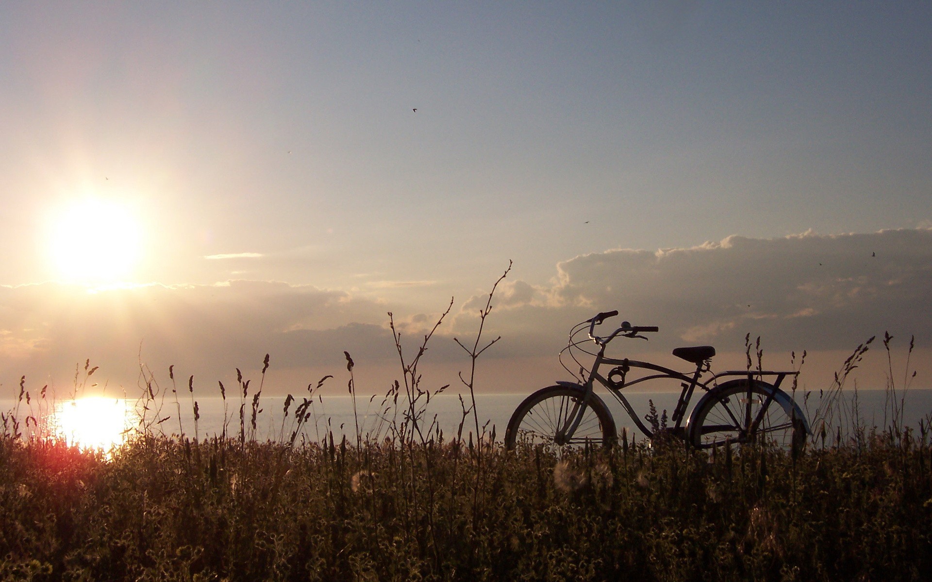 Обои трава, солнце, природа, пейзаж, велосипед, grass, the sun, nature, landscape, bike разрешение 1920x1200 Загрузить