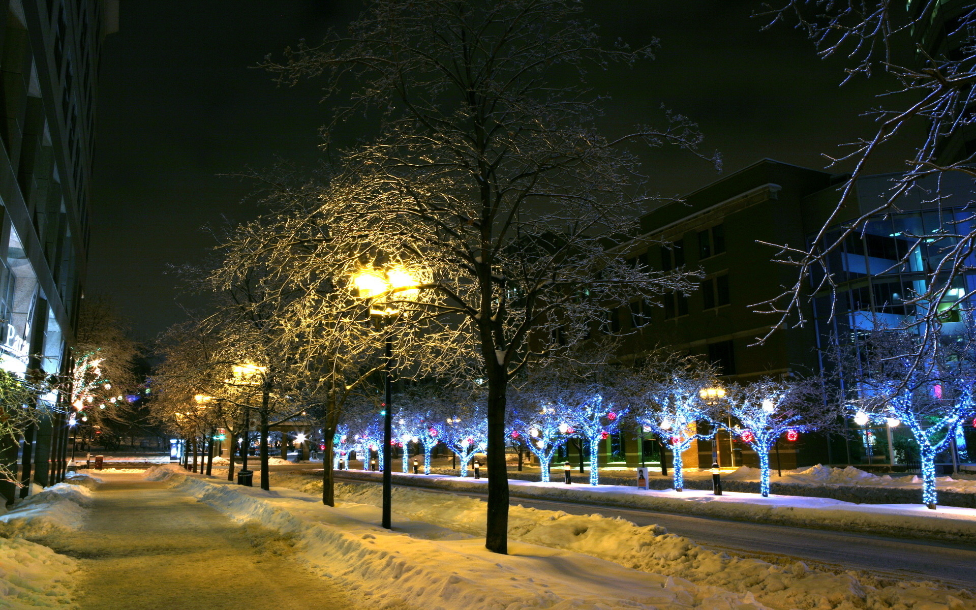 Обои деревья, фонари, огни, снег, зима, город, trees, lights, snow, winter, the city разрешение 1920x1200 Загрузить
