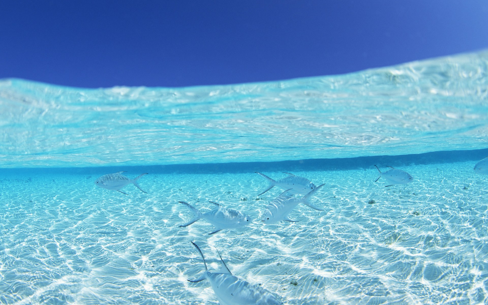 Море небо кристальная вода загрузить