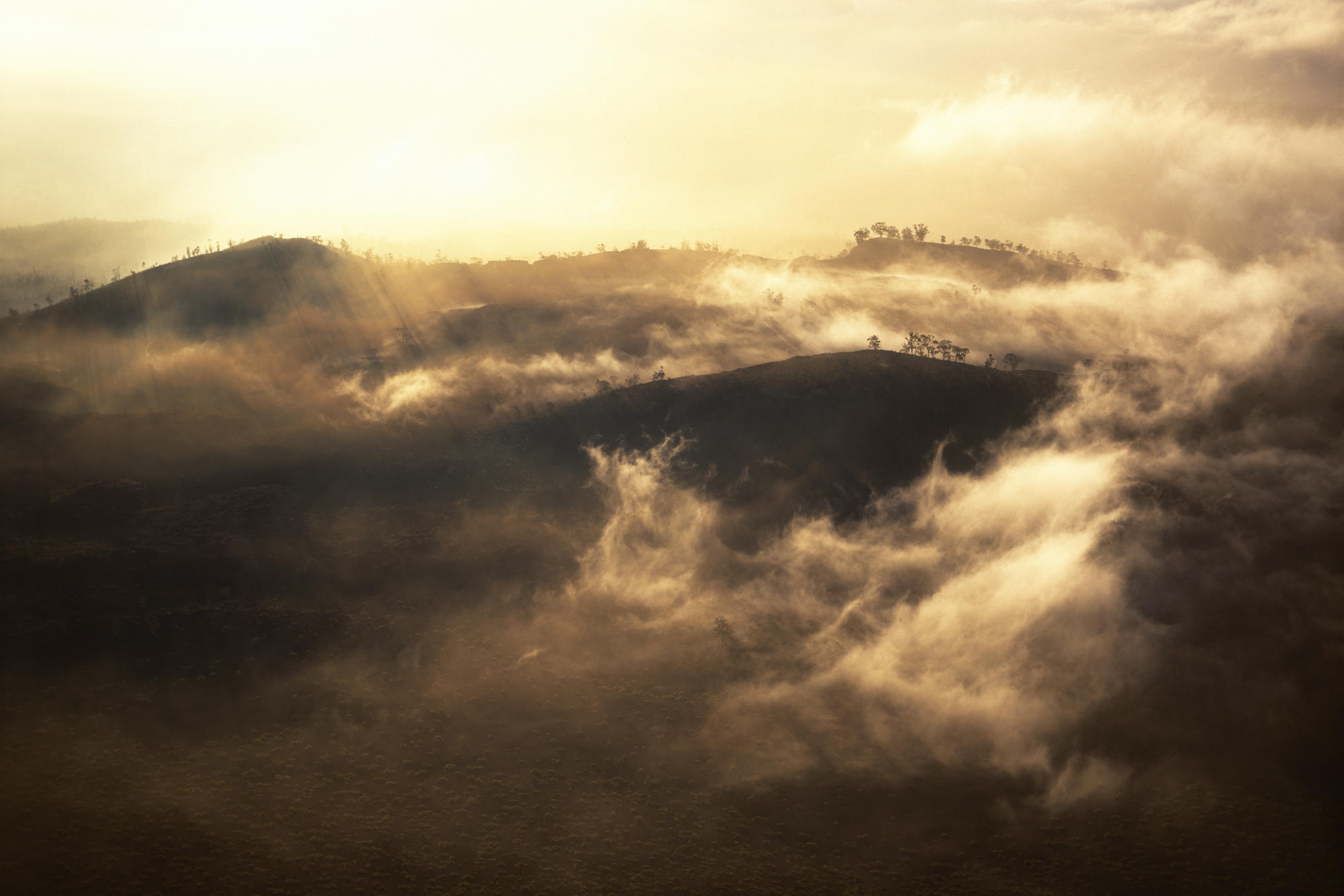 Обои облака, деревья, горы, низкие, clouds, trees, mountains, low разрешение 2000x1333 Загрузить