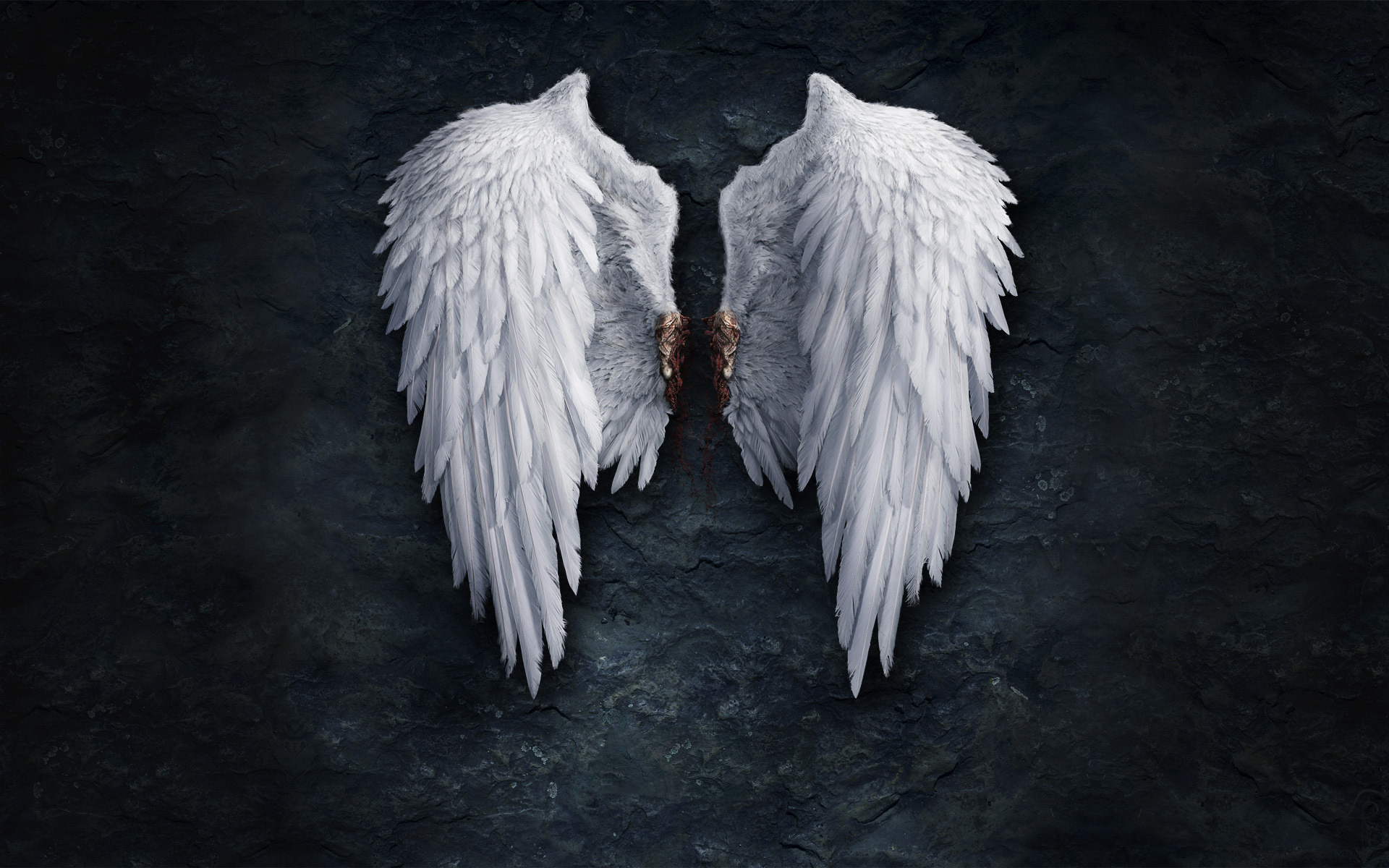 Angel wings. Крылья ангела. Ангел с крыльями. Крылья фото. Белые Крылья.