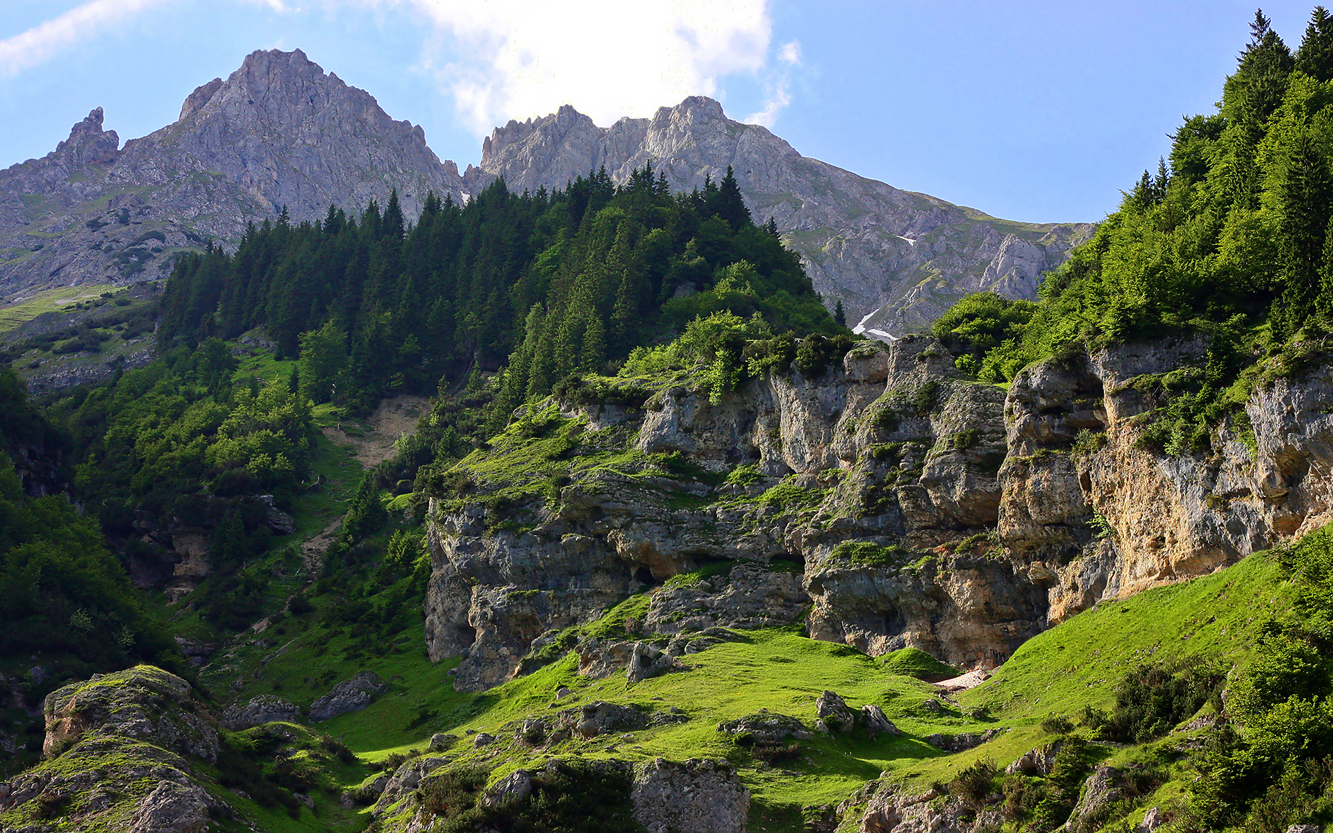 Обои деревья, горы, скалы, лес, ками, trees, mountains, rocks, forest, kami разрешение 1920x1200 Загрузить