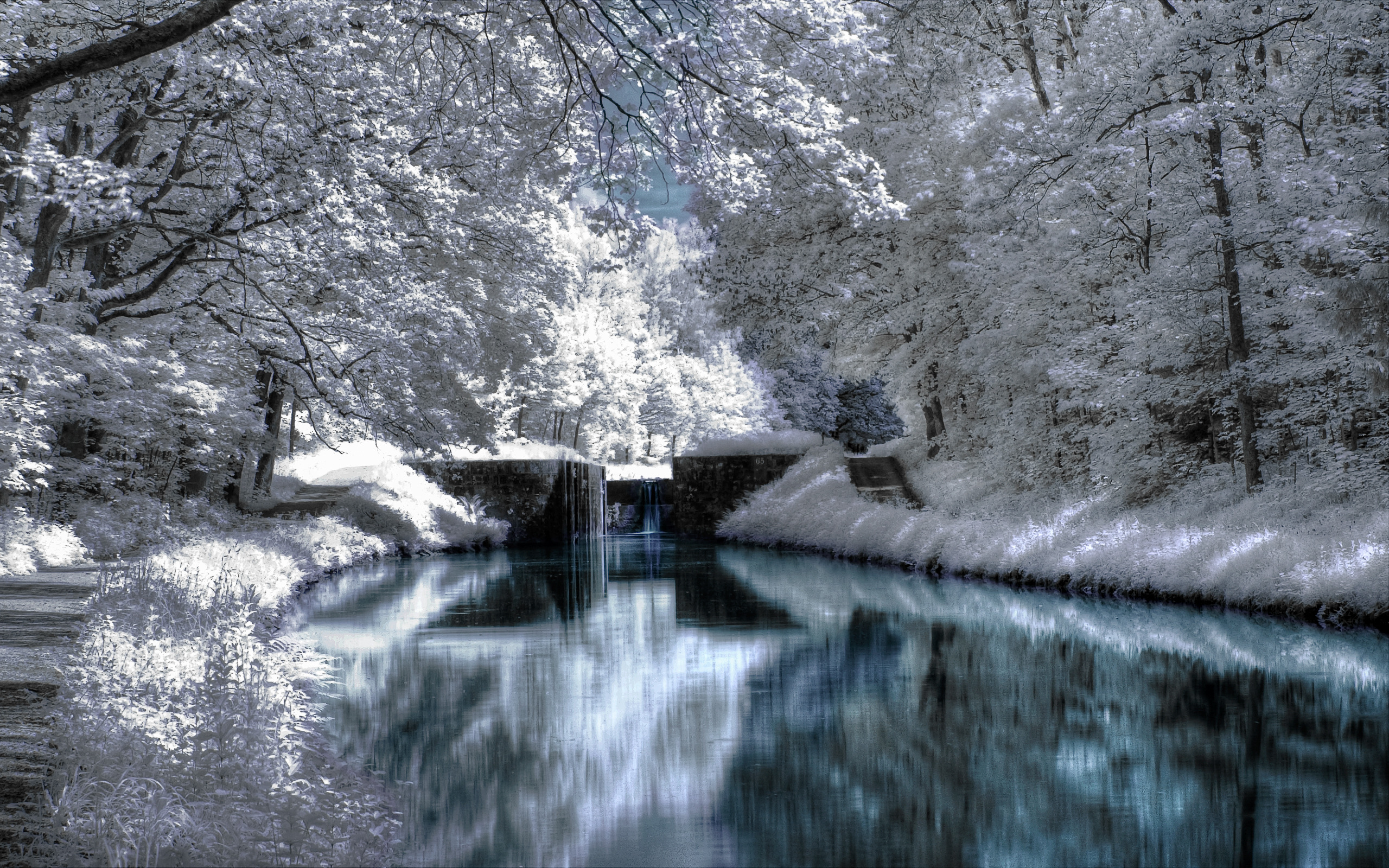 природа зима мост деревья загрузить