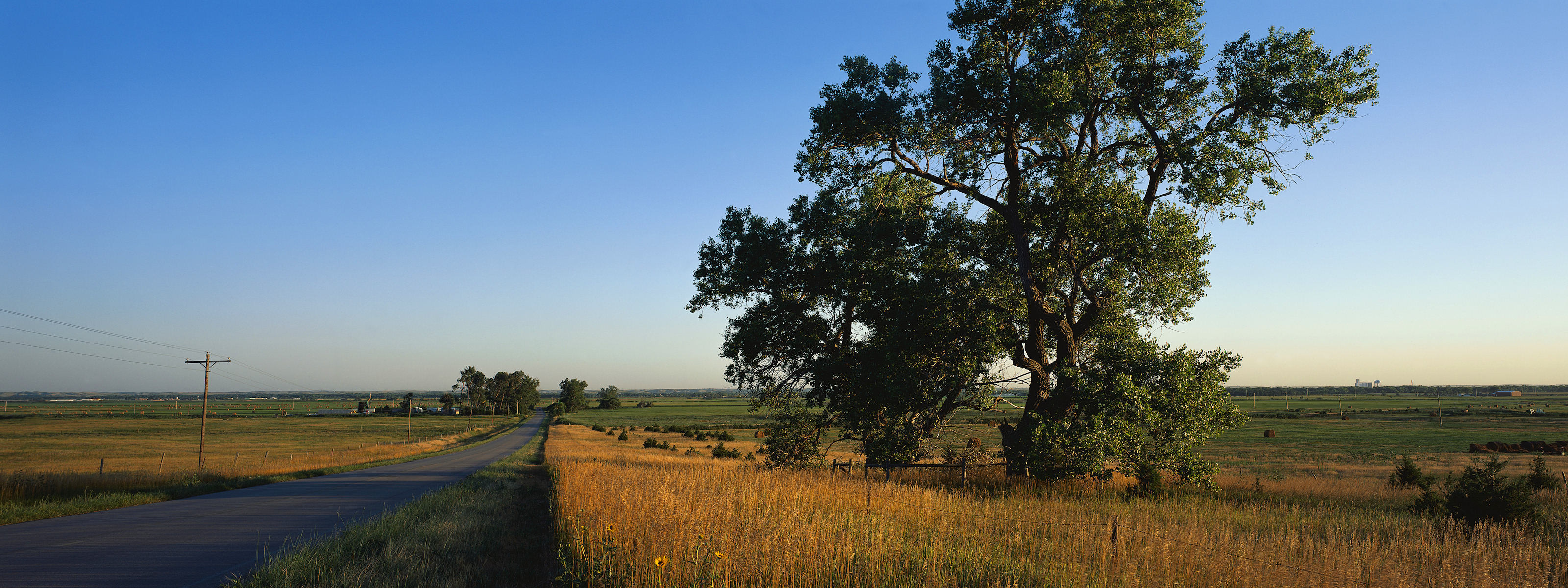 Обои дорога, дерево, поле, сельская местность, road, tree, field, the countryside разрешение 3200x1200 Загрузить