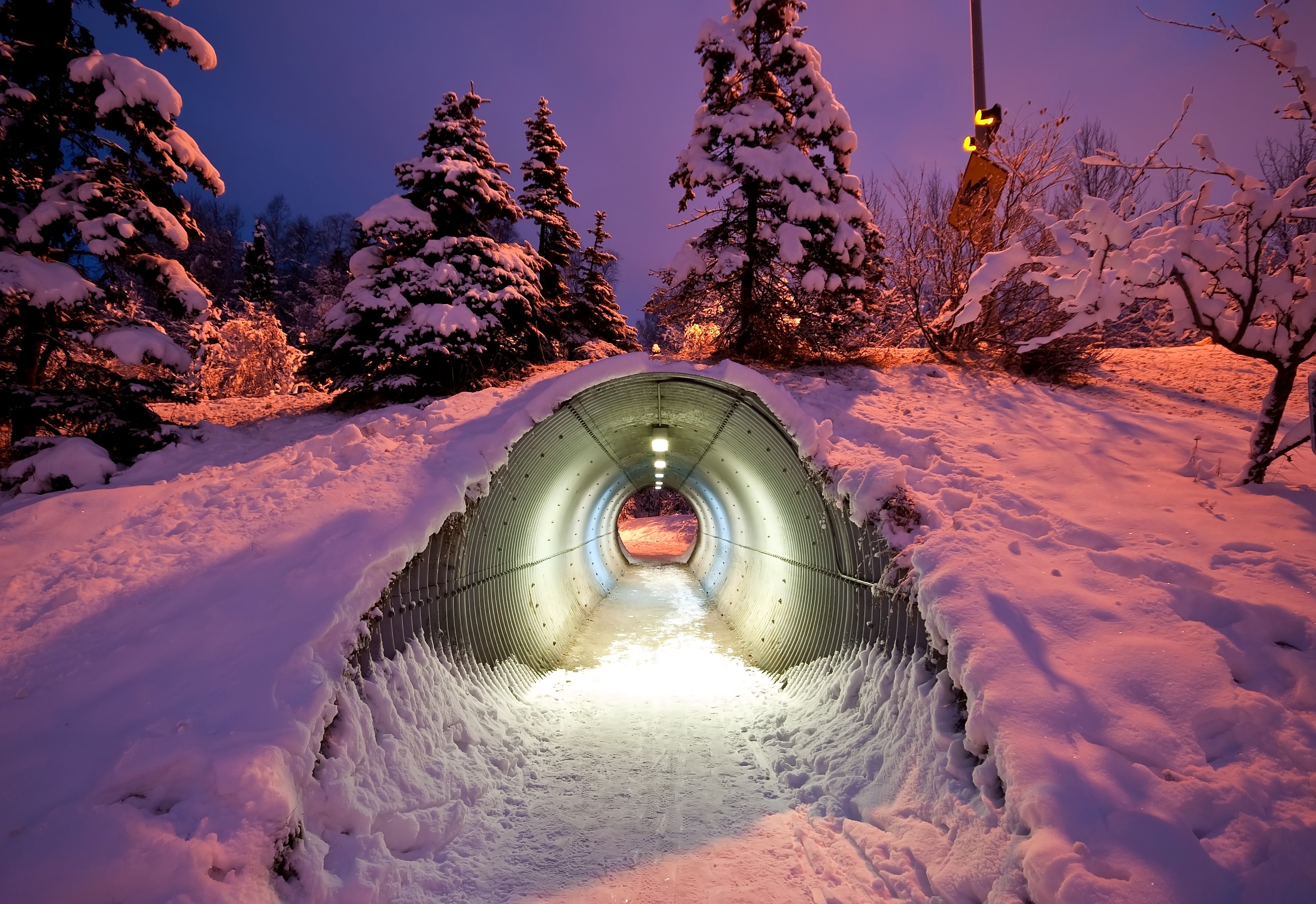 Обои деревья, снег, зима, туннель, trees, snow, winter, the tunnel разрешение 3574x2456 Загрузить
