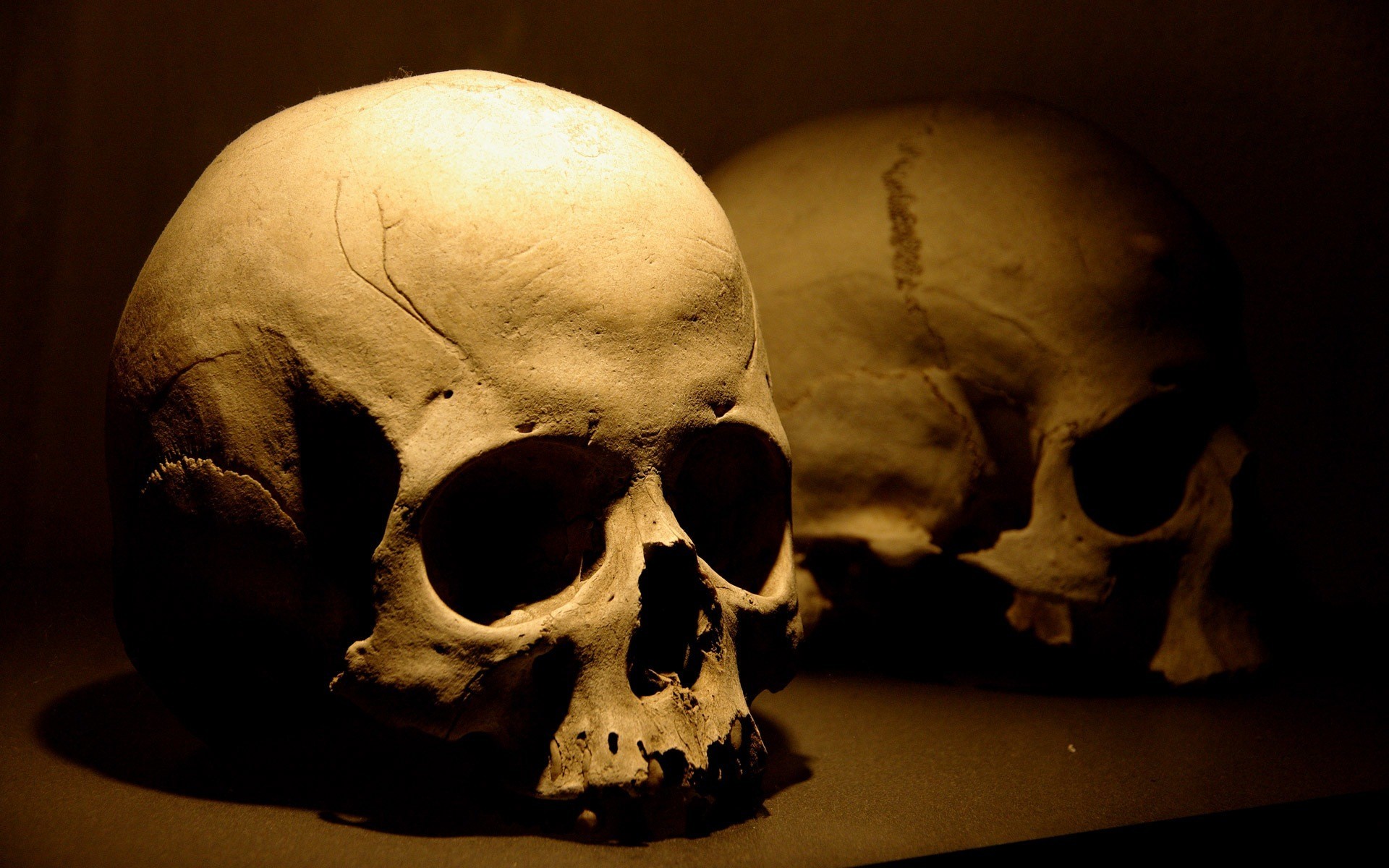 Обои смерть, череп, death, skull разрешение 1920x1200 Загрузить