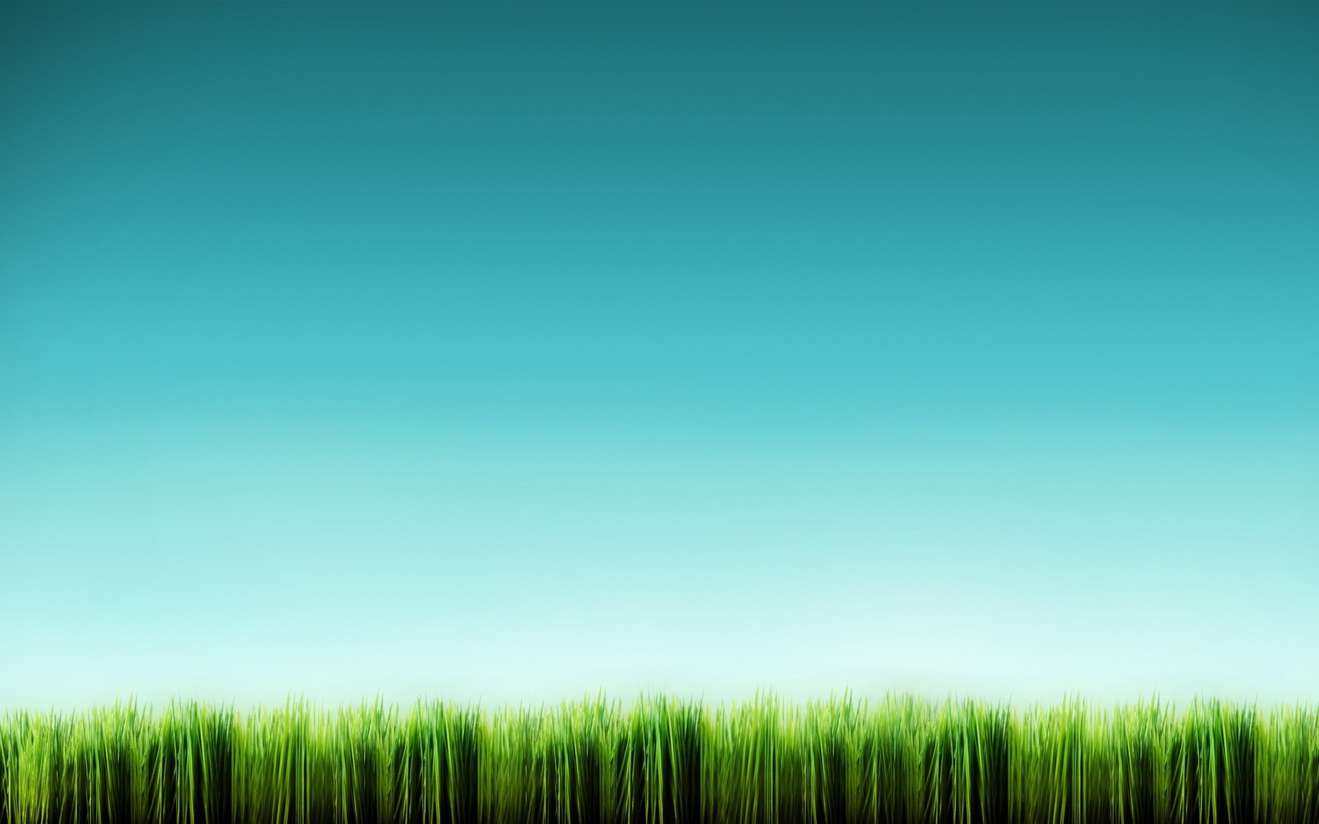 Обои трава, синий, минимализм, grass, blue, minimalism разрешение 1920x1200 Загрузить