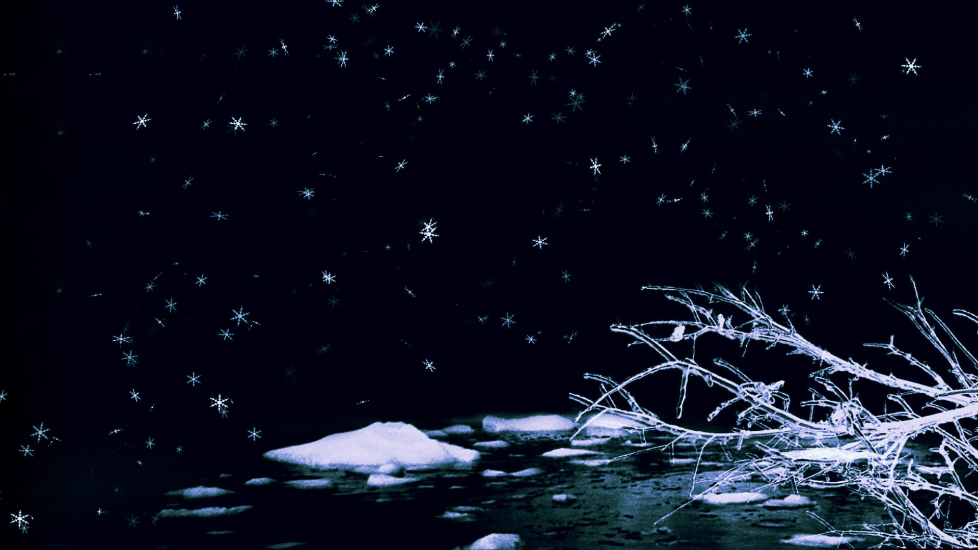 Обои зима, лёд, романтика, winter, ice, romance разрешение 1920x1080 Загрузить