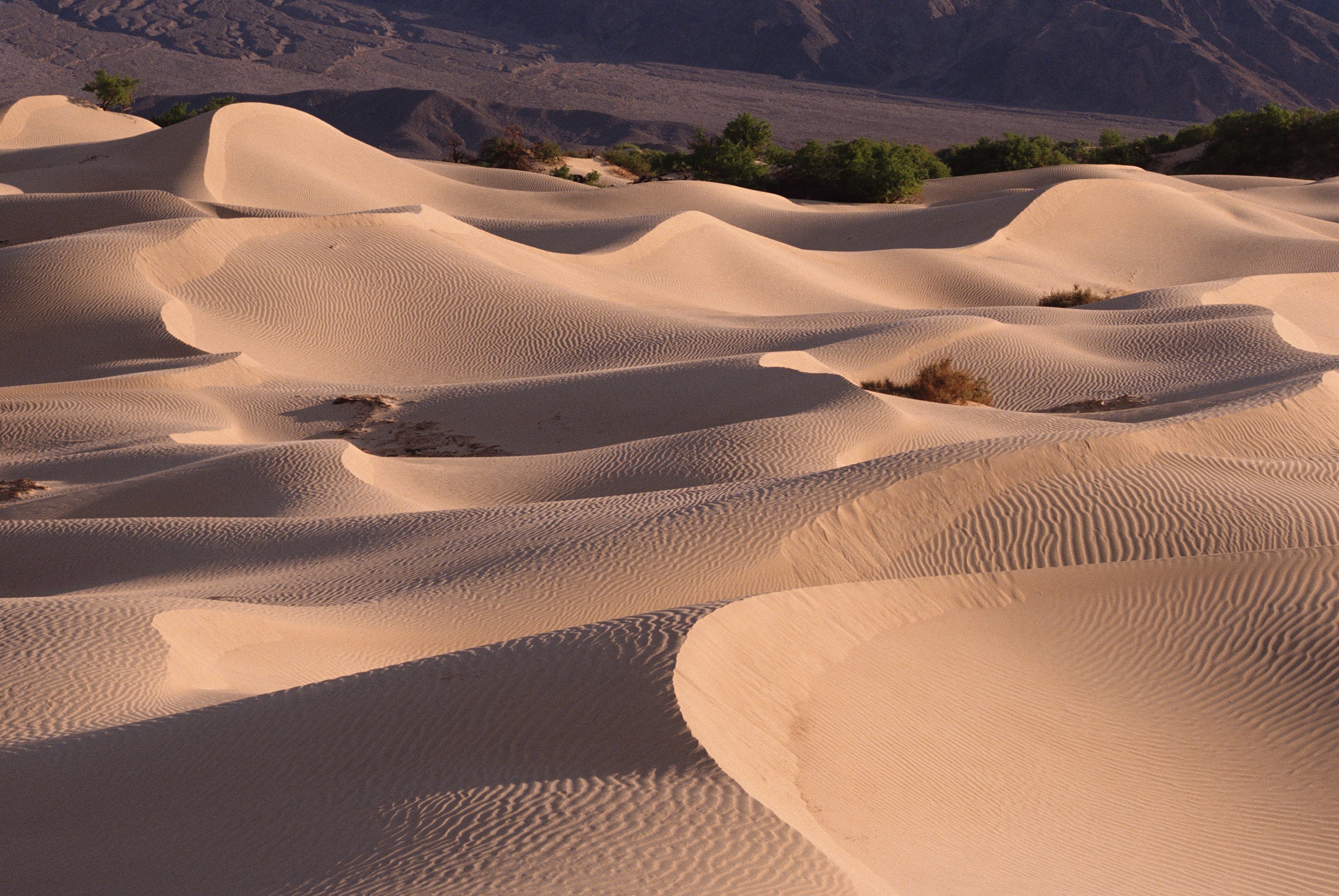 Обои песок, пустыня, барханы, sand, desert, the dunes разрешение 2295x1536 Загрузить
