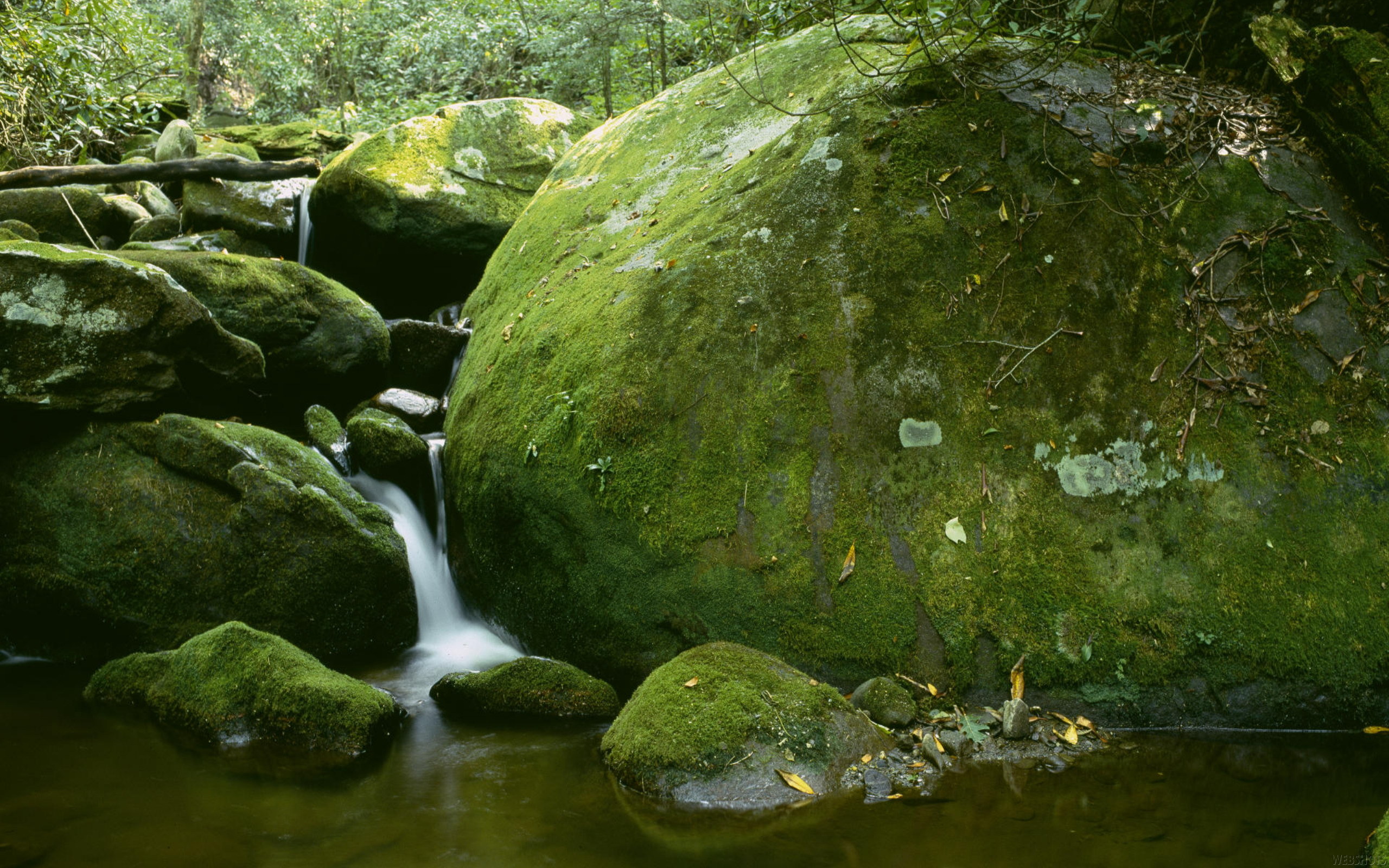 Обои камни, водопад, мох, stones, waterfall, moss разрешение 2560x1600 Загрузить