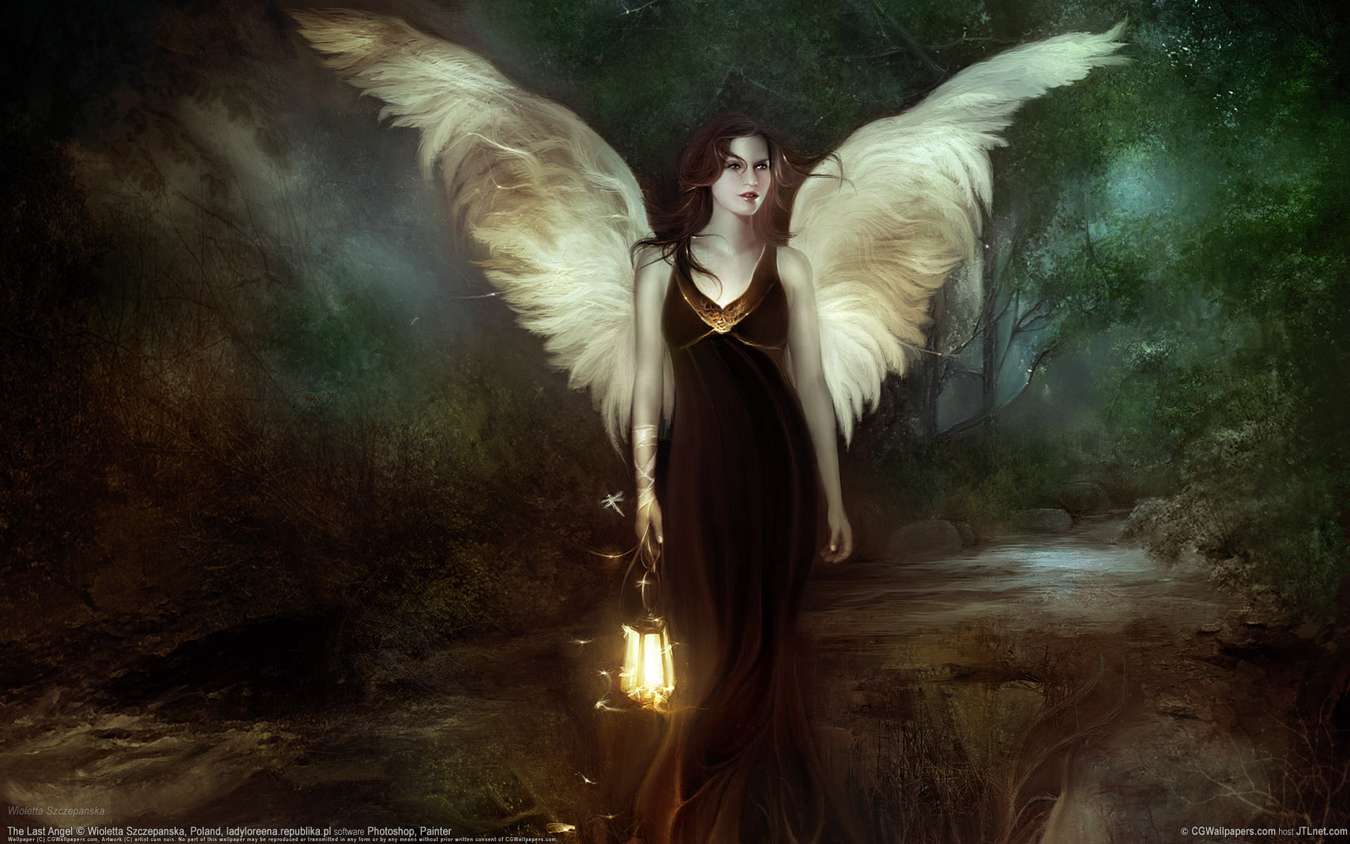 Обои крылья, фонарь, светлячки, wioletta szczepanska - the last angel, wings, lantern, fireflies разрешение 1920x1200 Загрузить