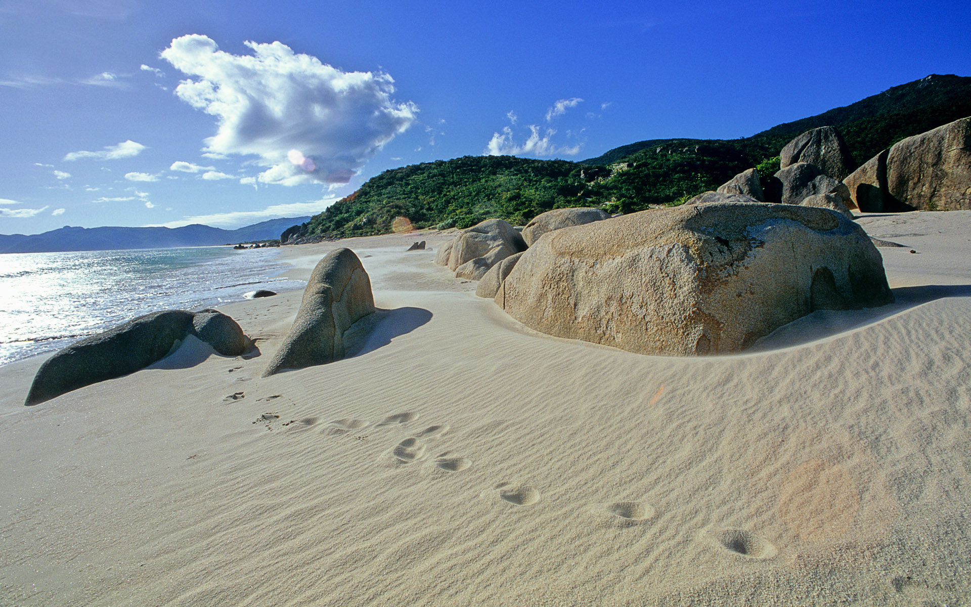 Обои камни, лес, пляж, побережье, океан, тропики, stones, forest, beach, coast, the ocean, tropics разрешение 1920x1200 Загрузить