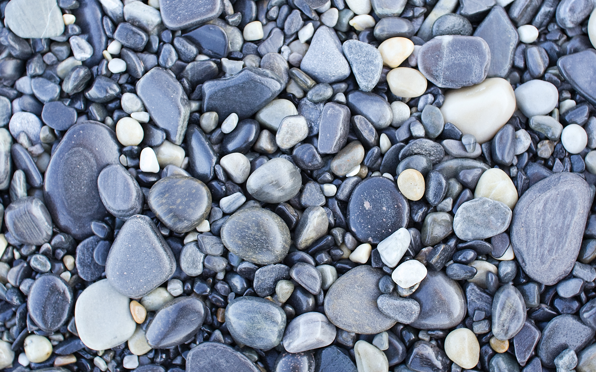 Обои камни, галька, текстура, фон, серая, stones, pebbles, texture, background, grey разрешение 1920x1200 Загрузить