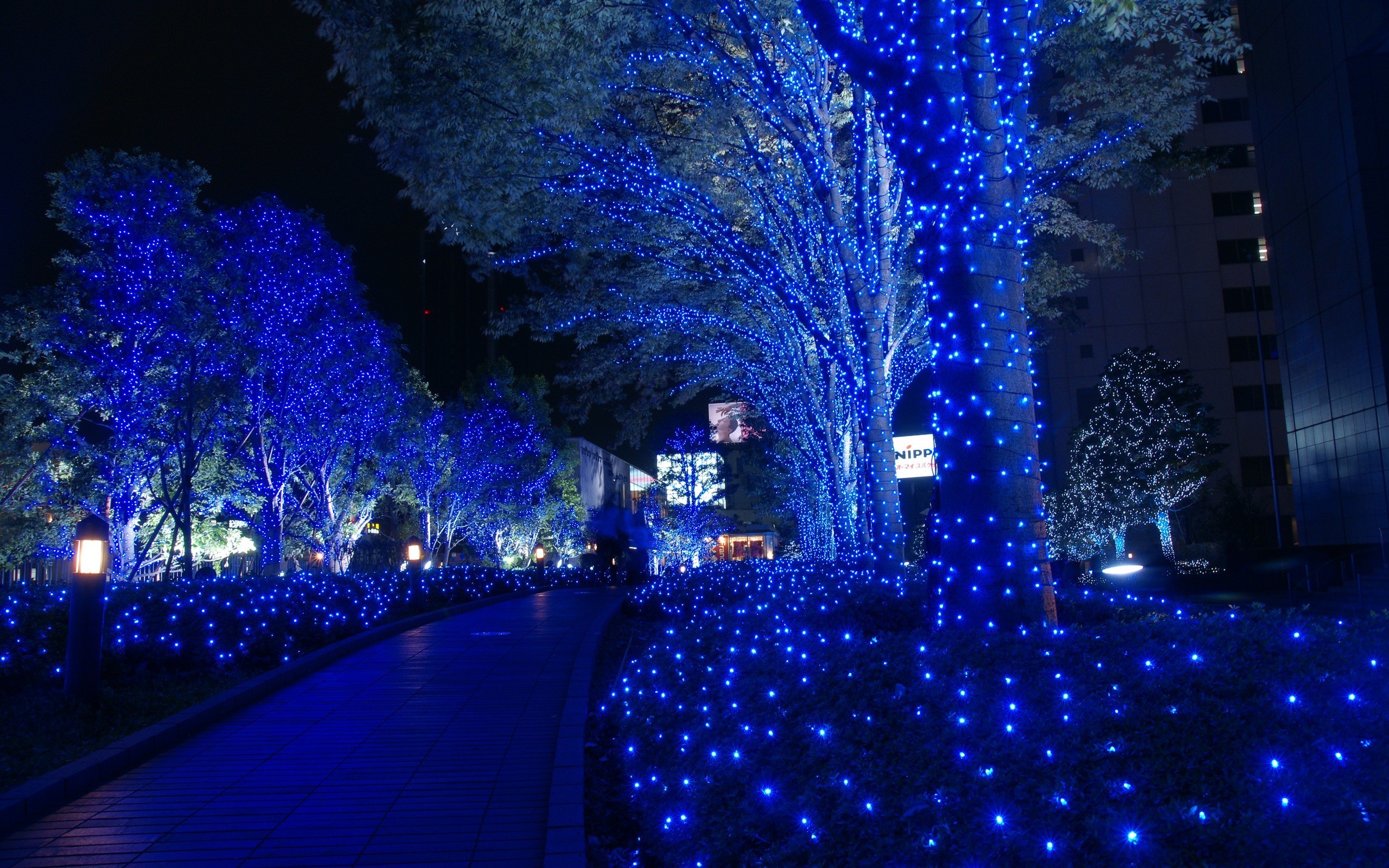 New year's night. Рождественская иллюминация в Лос Анджелесе. Иллюминации в Токио. Подсветка деревьев. Новогодний город.