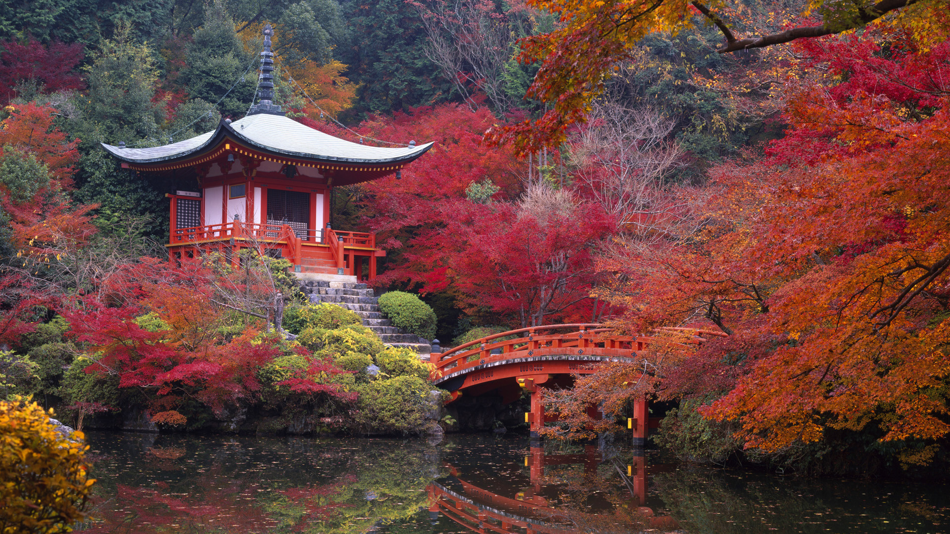 Toji Temple, Kyoto, Japan бесплатно