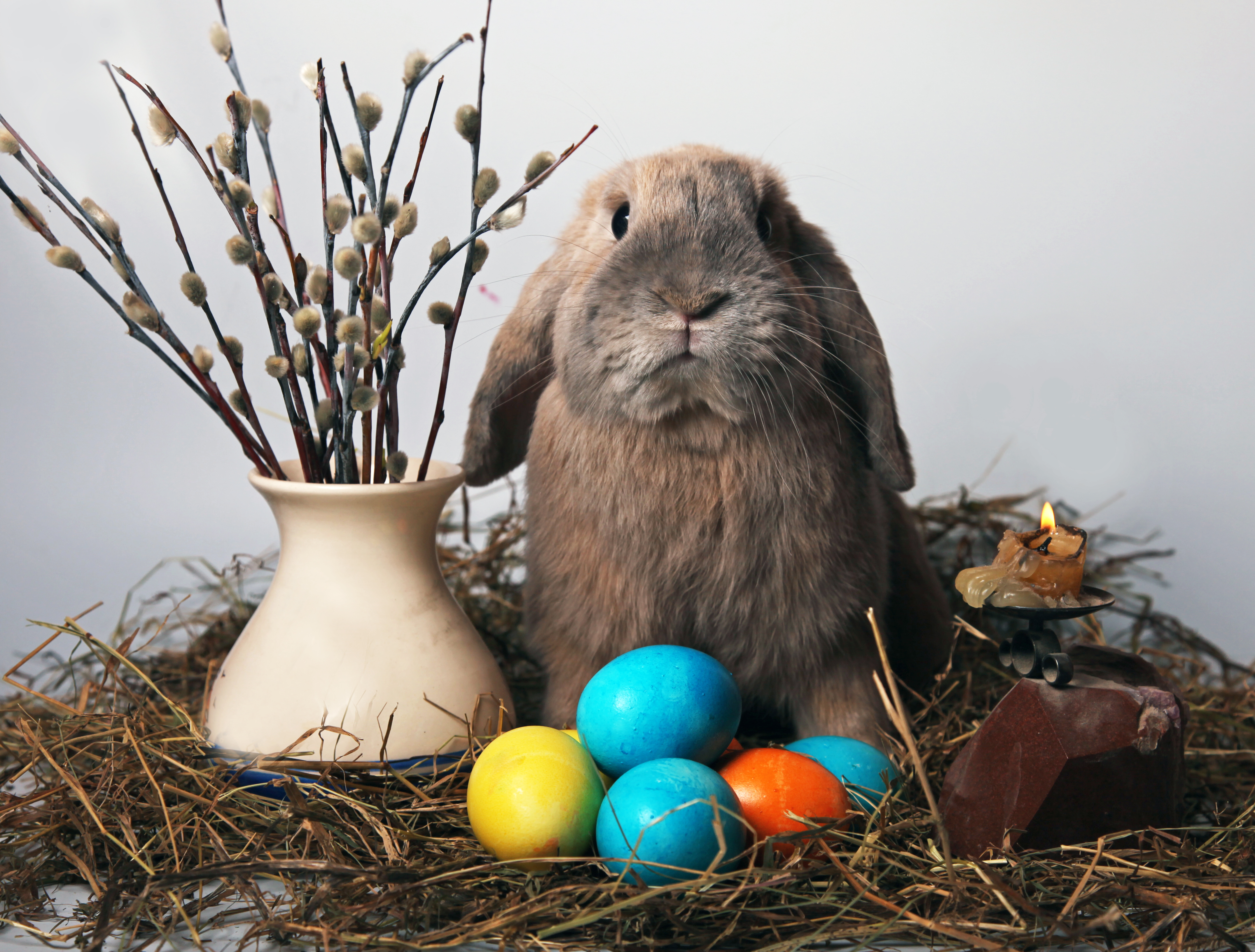 Обои кролик, свеча, пасха, яйца, солома, верба, rabbit, candle, easter, eggs, straw, verba разрешение 4302x3264 Загрузить