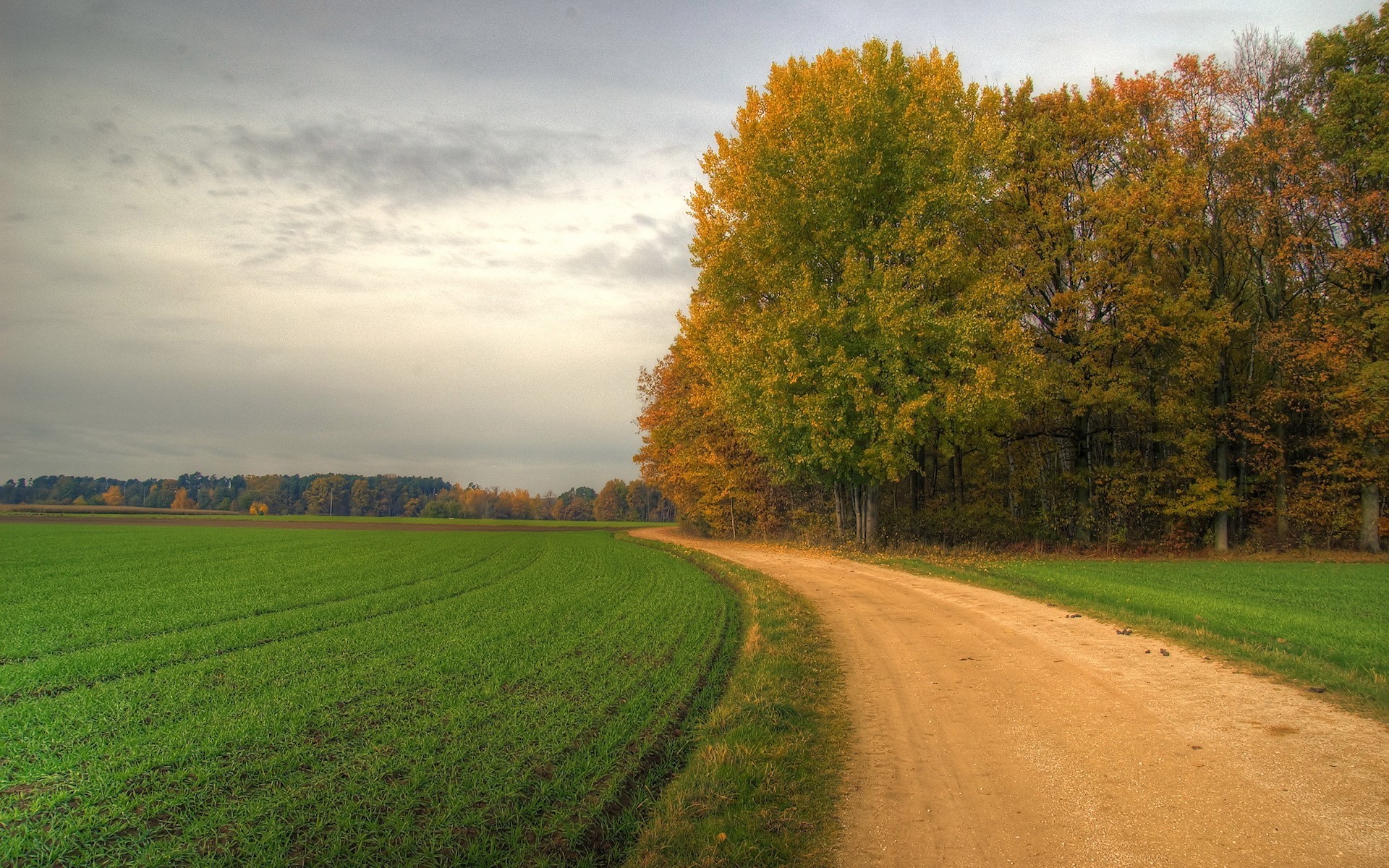 Обои дорога, деревья, поле, поворот, road, trees, field, turn разрешение 1920x1200 Загрузить