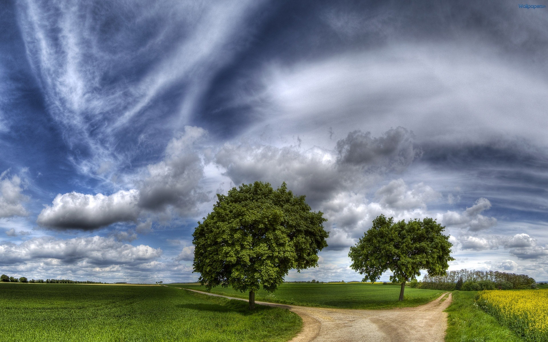 природа небо облака архитектура деревья бесплатно