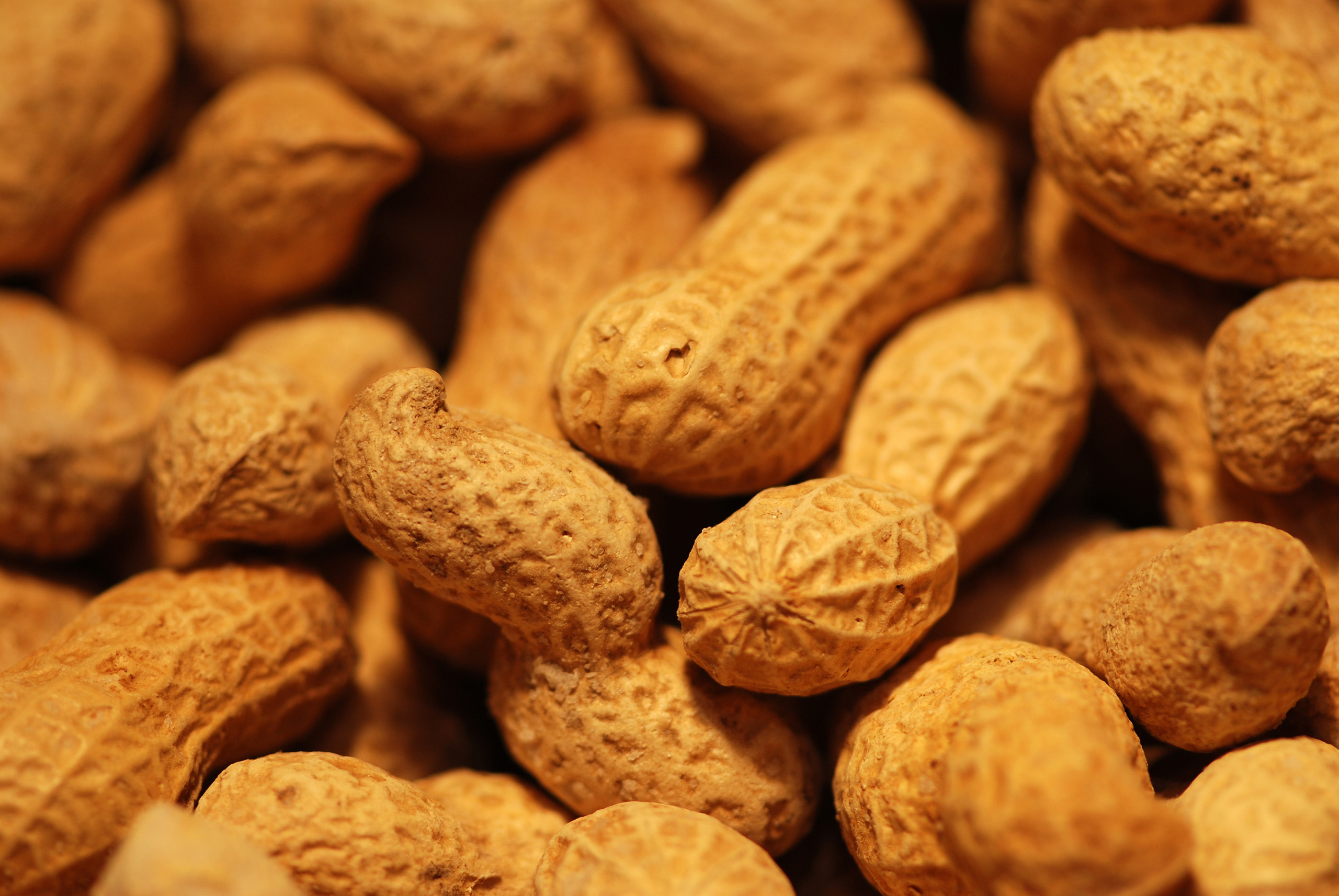 Орехи еда фундук без смс