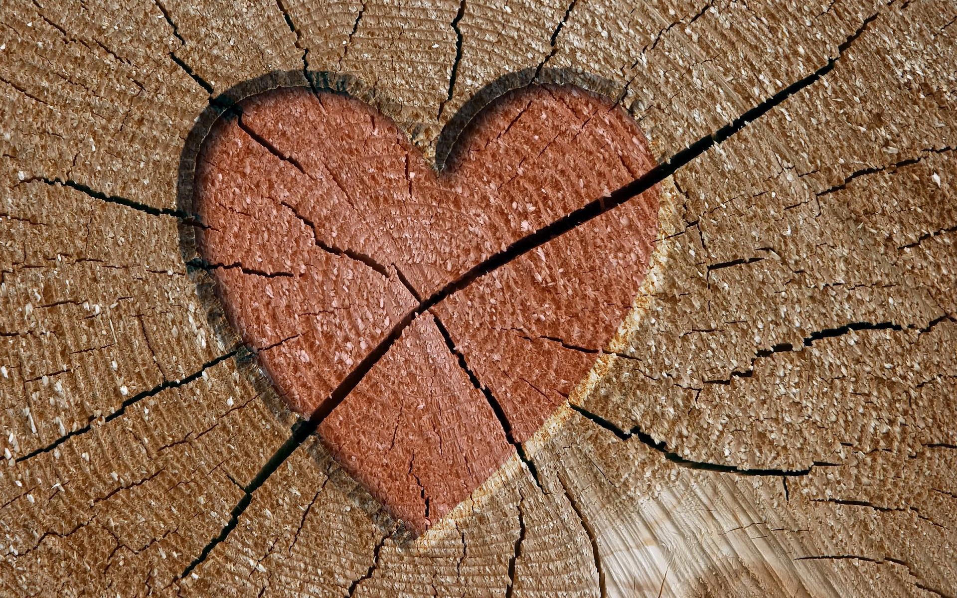 Обои дерево, сердце, трещины, tree, heart, cracked разрешение 1920x1200 Загрузить