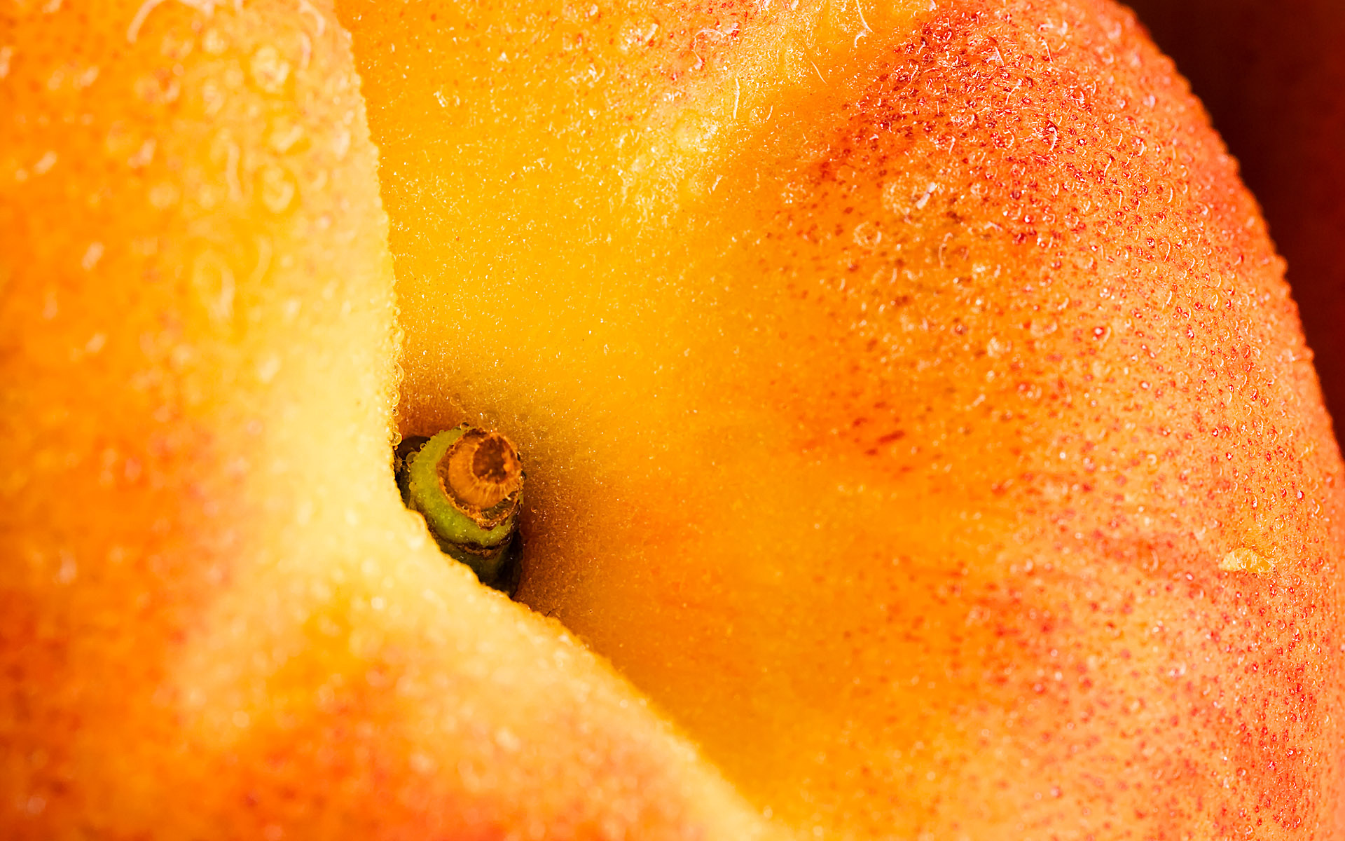 Обои фрукт, персик, крупным планом, fruit, peach, closeup разрешение 1920x1200 Загрузить