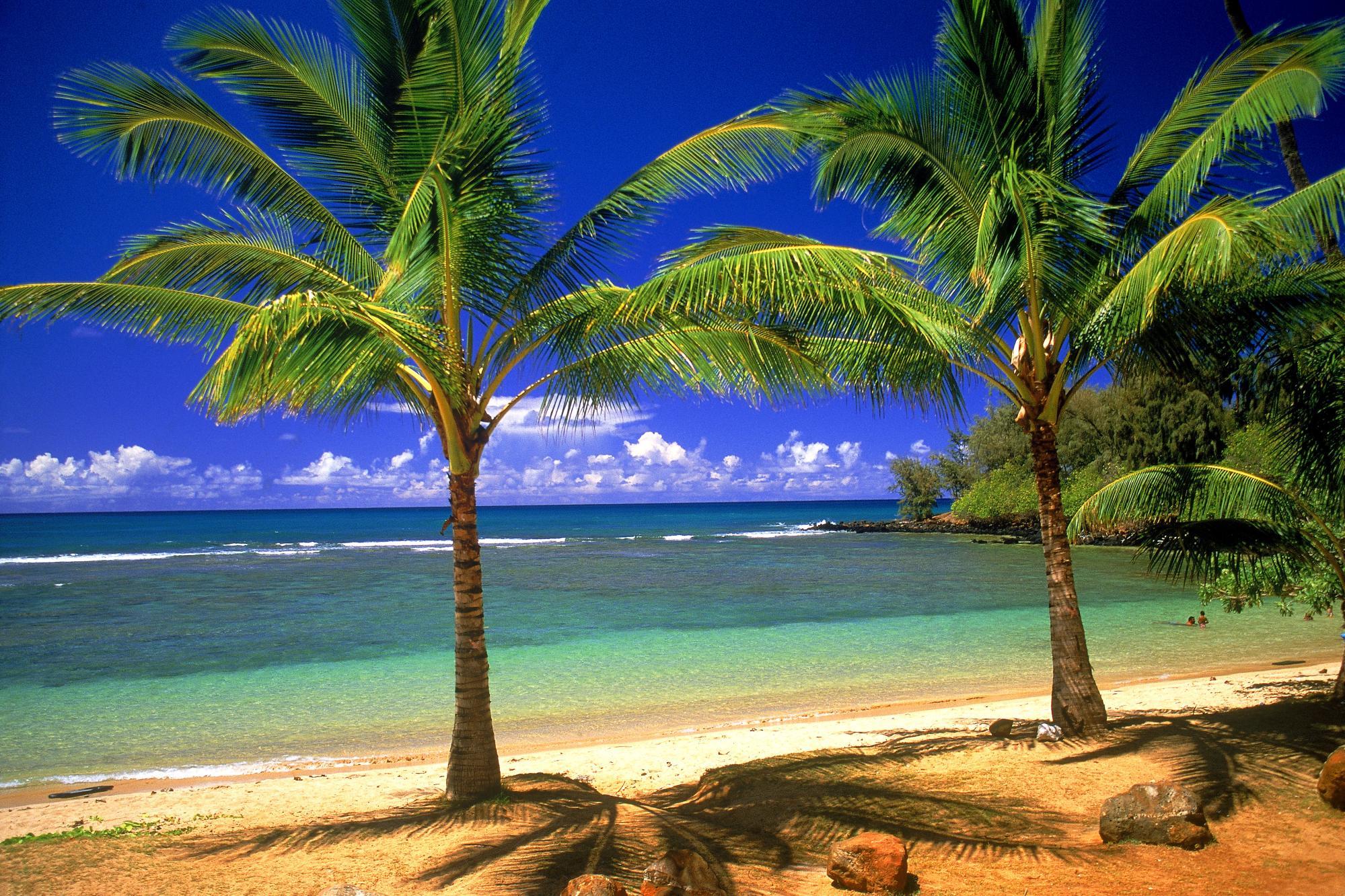 Molokai Shore, Hawaii бесплатно