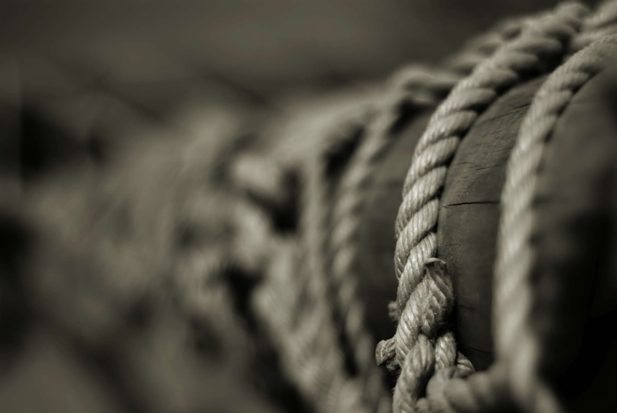 Обои чб, веревка, столб, bw, rope, post разрешение 2000x1340 Загрузить