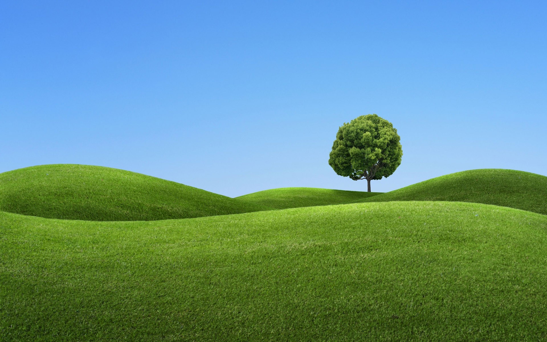 Обои холмы, дерево, зелёный, синий, hills, tree, green, blue разрешение 1920x1200 Загрузить