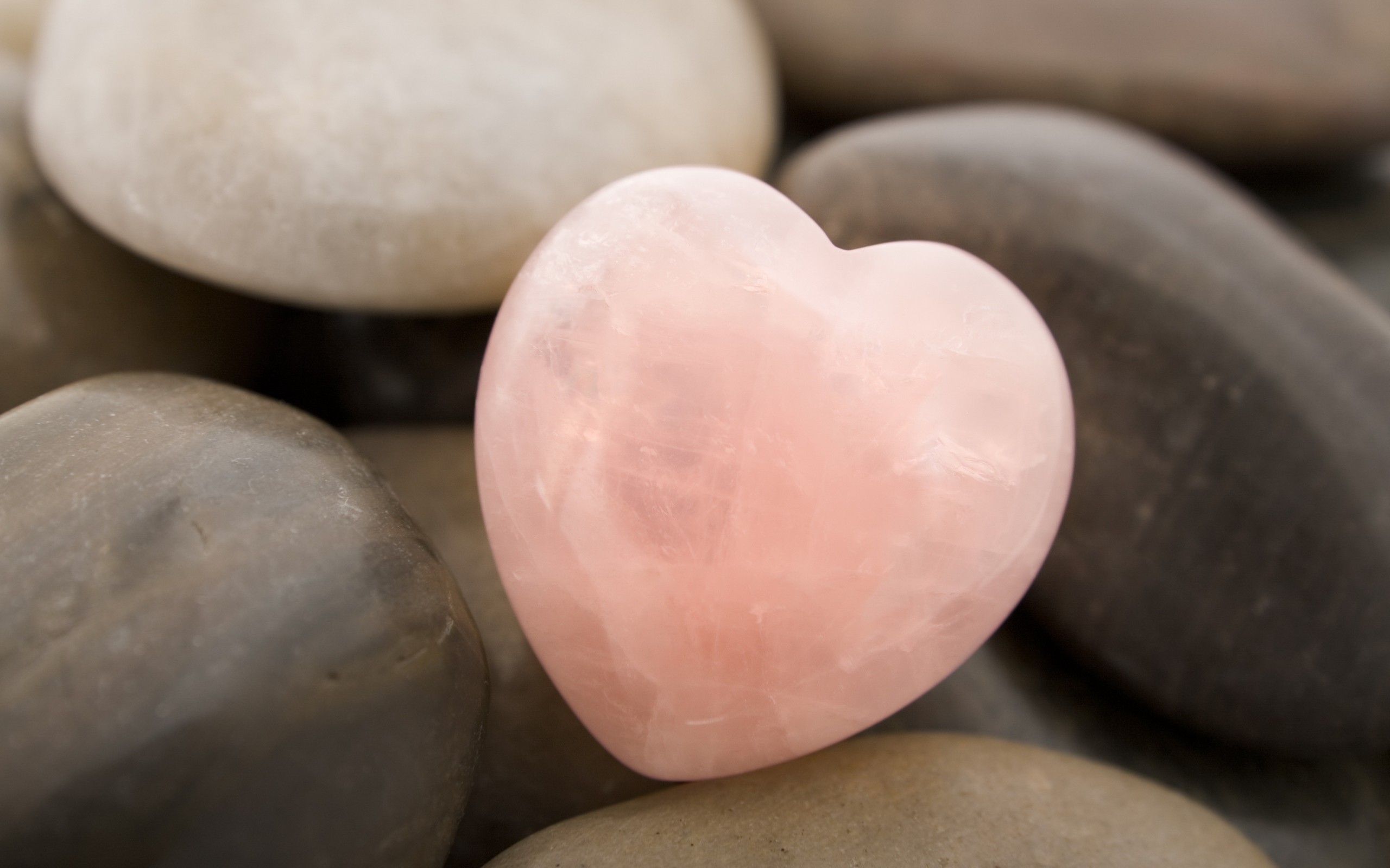 Обои сердечко, сердце, камень, розовый, крупным планом, heart, stone, pink, closeup разрешение 2560x1600 Загрузить