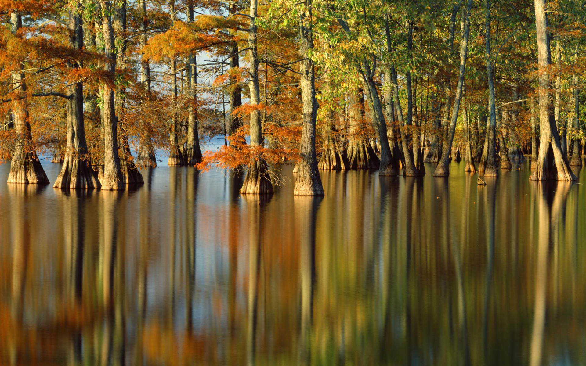 природа река отражение деревья осень бесплатно