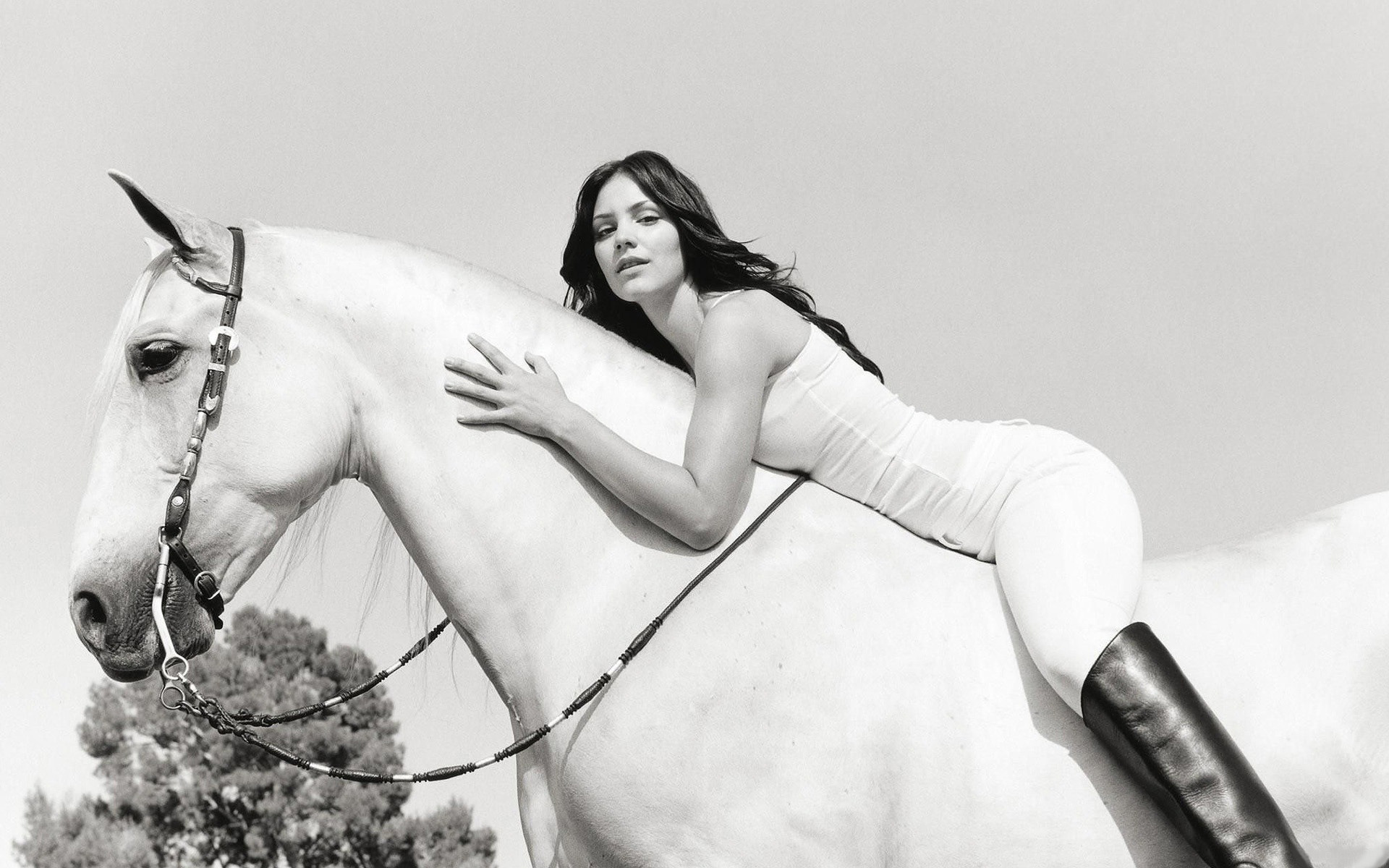 Обои лошадь, девушка, певица, кэтрин макфи, horse, girl, singer, katharine mcphee разрешение 1920x1200 Загрузить