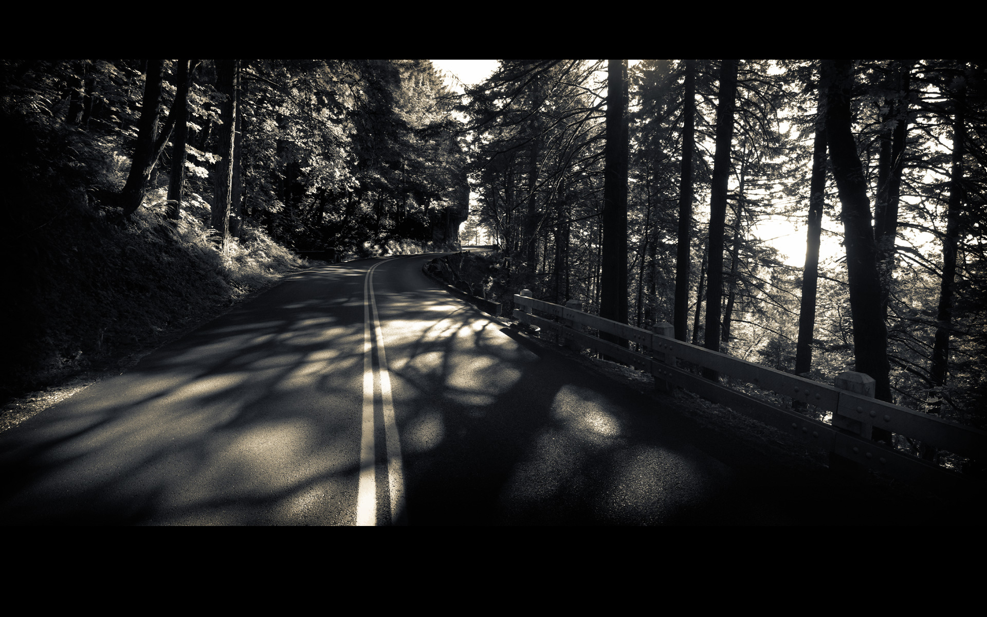 Обои дорога, деревья, лес, чёрно-белый, road, trees, forest, black and white разрешение 1920x1200 Загрузить