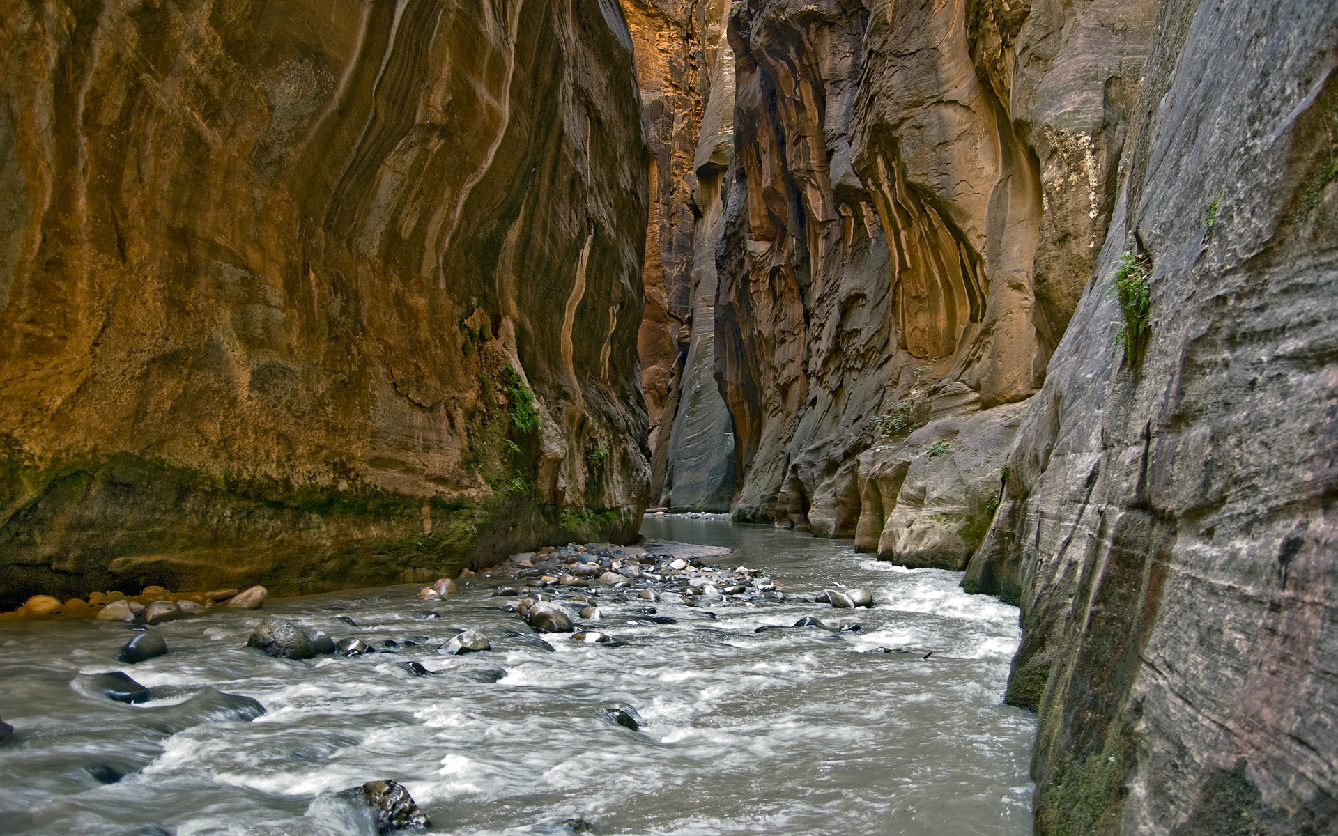 Обои река, камни, скала, ущелье, river, stones, rock, gorge разрешение 1920x1200 Загрузить