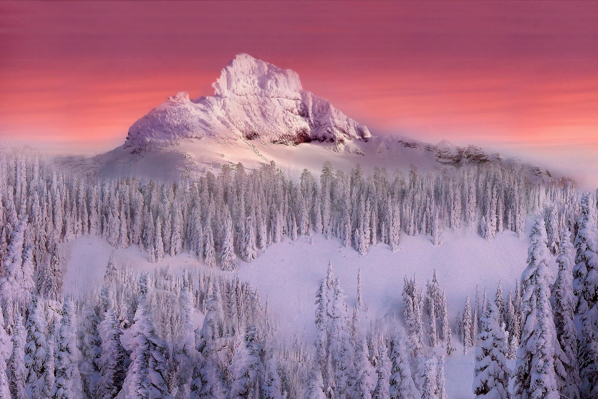 Обои деревья, снег, зима, гора, trees, snow, winter, mountain разрешение 2000x1333 Загрузить