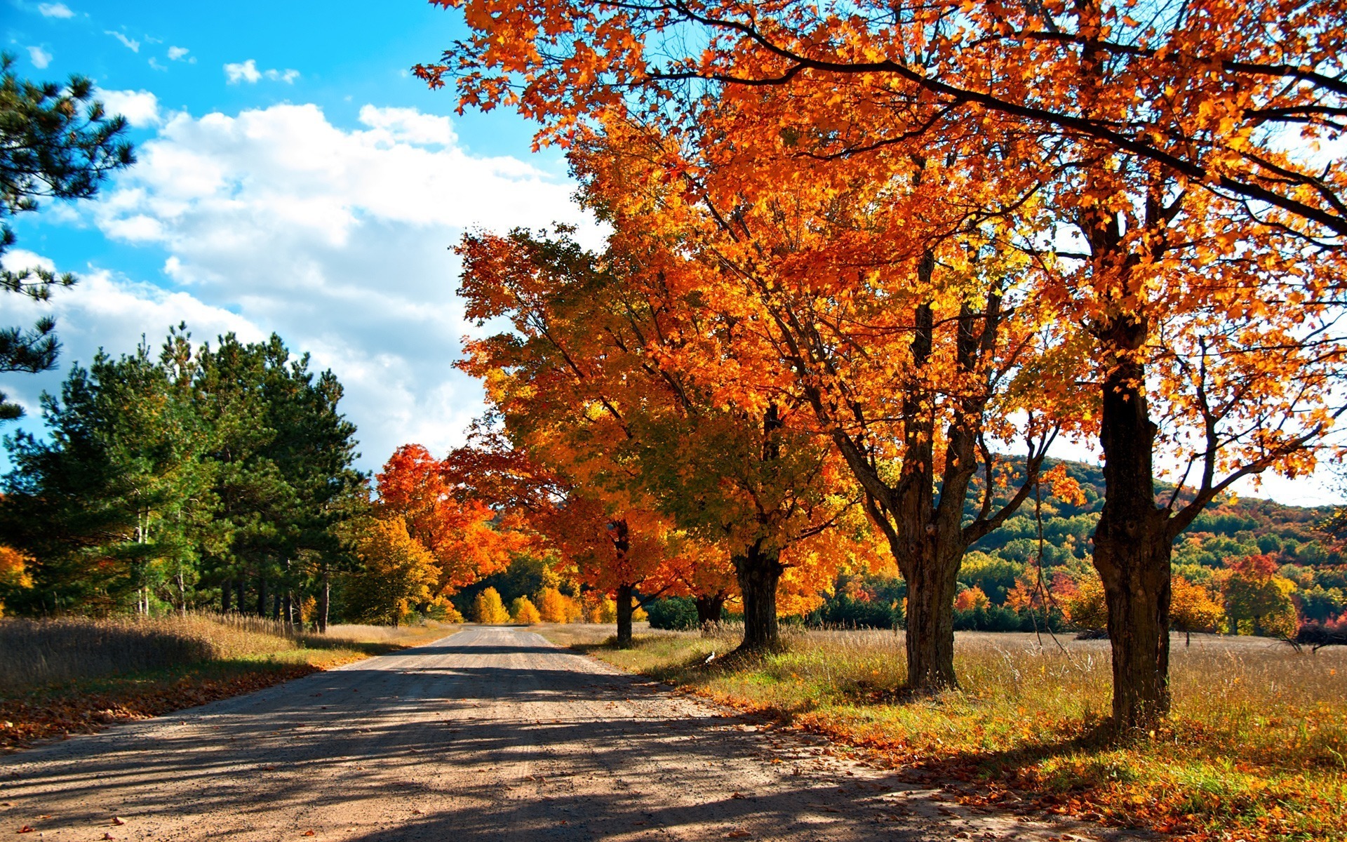 Обои дорога, деревья, лес, осень, краски осени, road, trees, forest, autumn, the colors of autumn разрешение 1920x1200 Загрузить