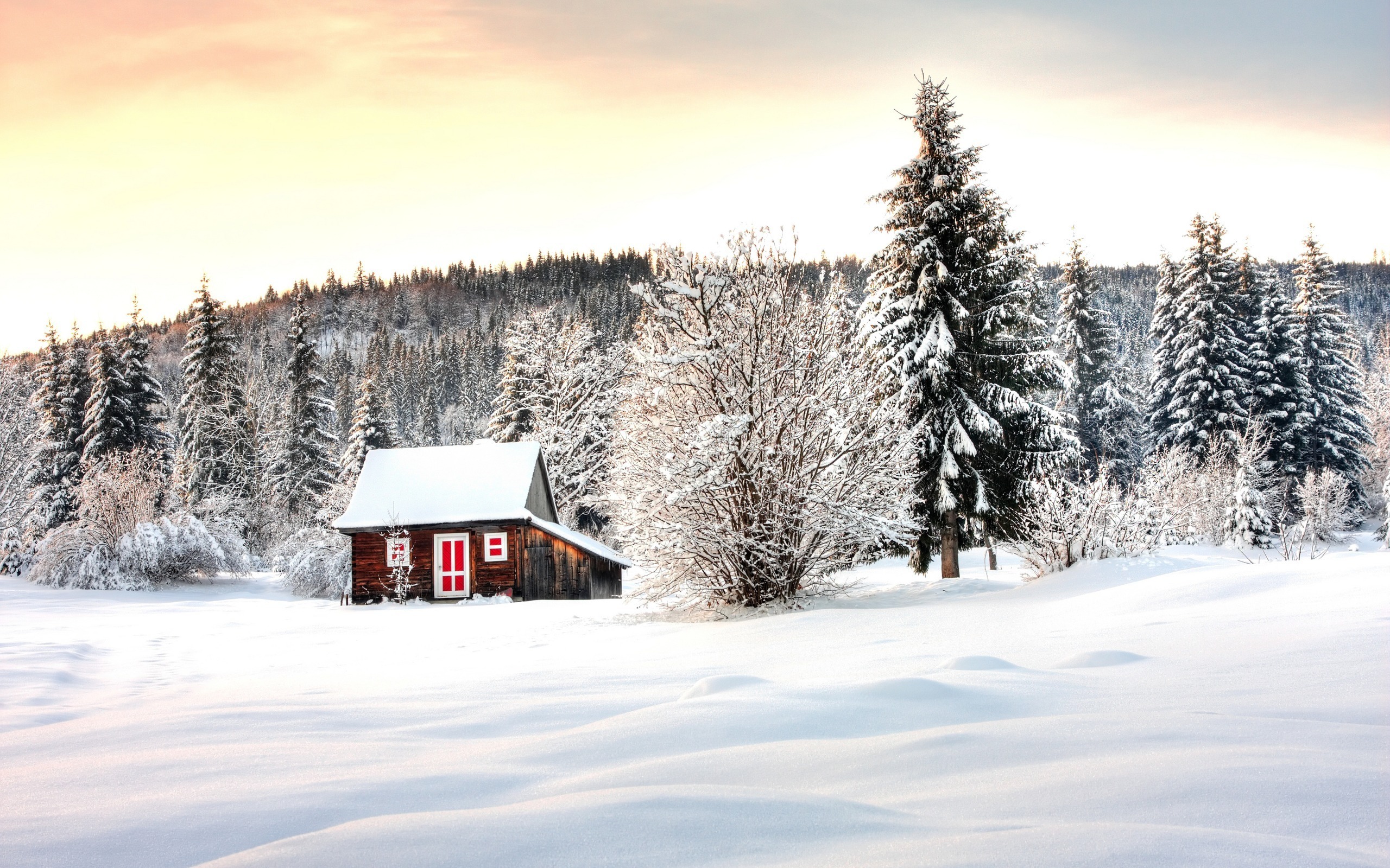 Зимние картинки. Зимний домик. Зимний пейзаж. Домик в зимнем лесу. Домик в лесу зимой.