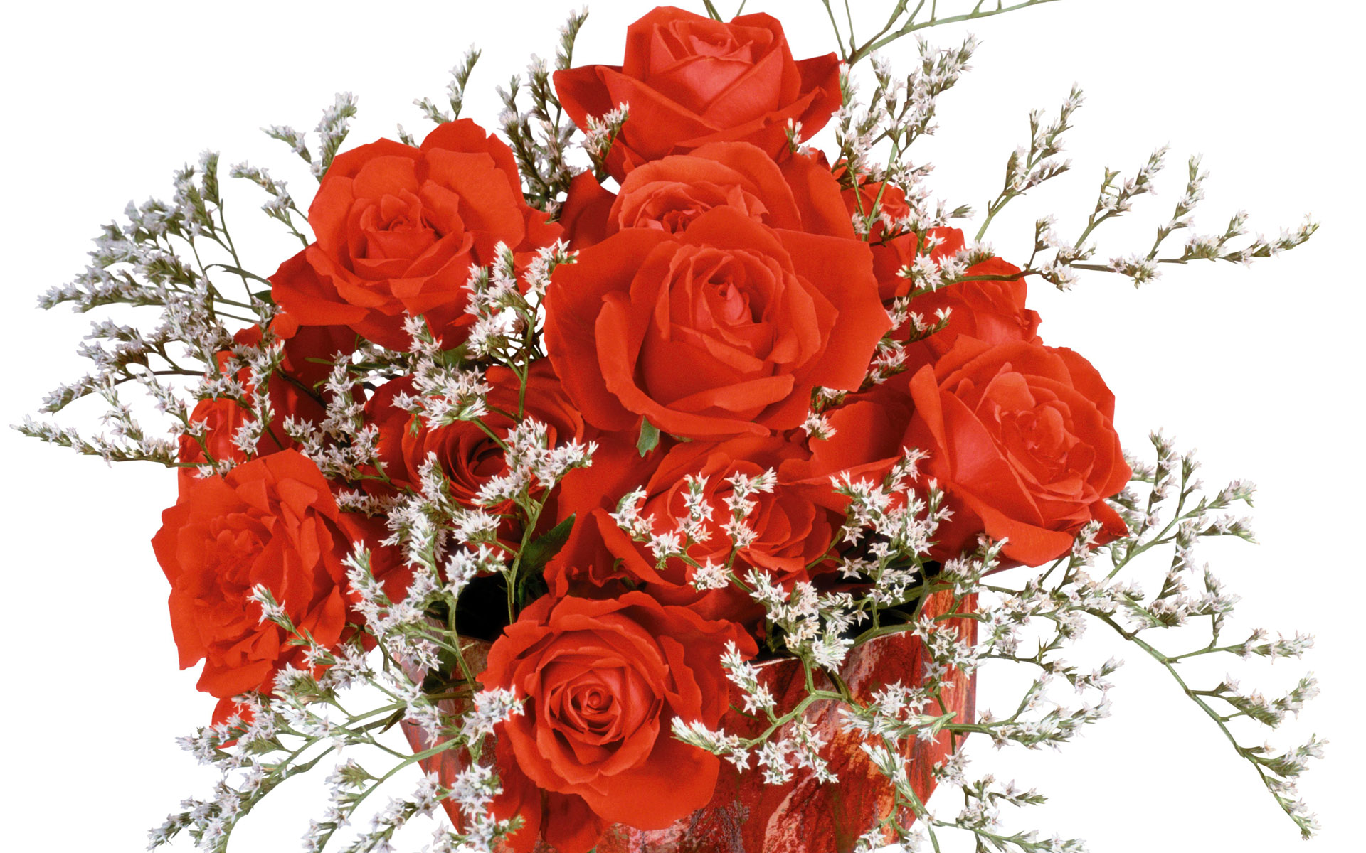 Обои розы, наступающим, роза, красные, букет, всех, с, женщин, днём, roses, coming, rose, red, bouquet, all, with, women, day разрешение 1920x1200 Загрузить