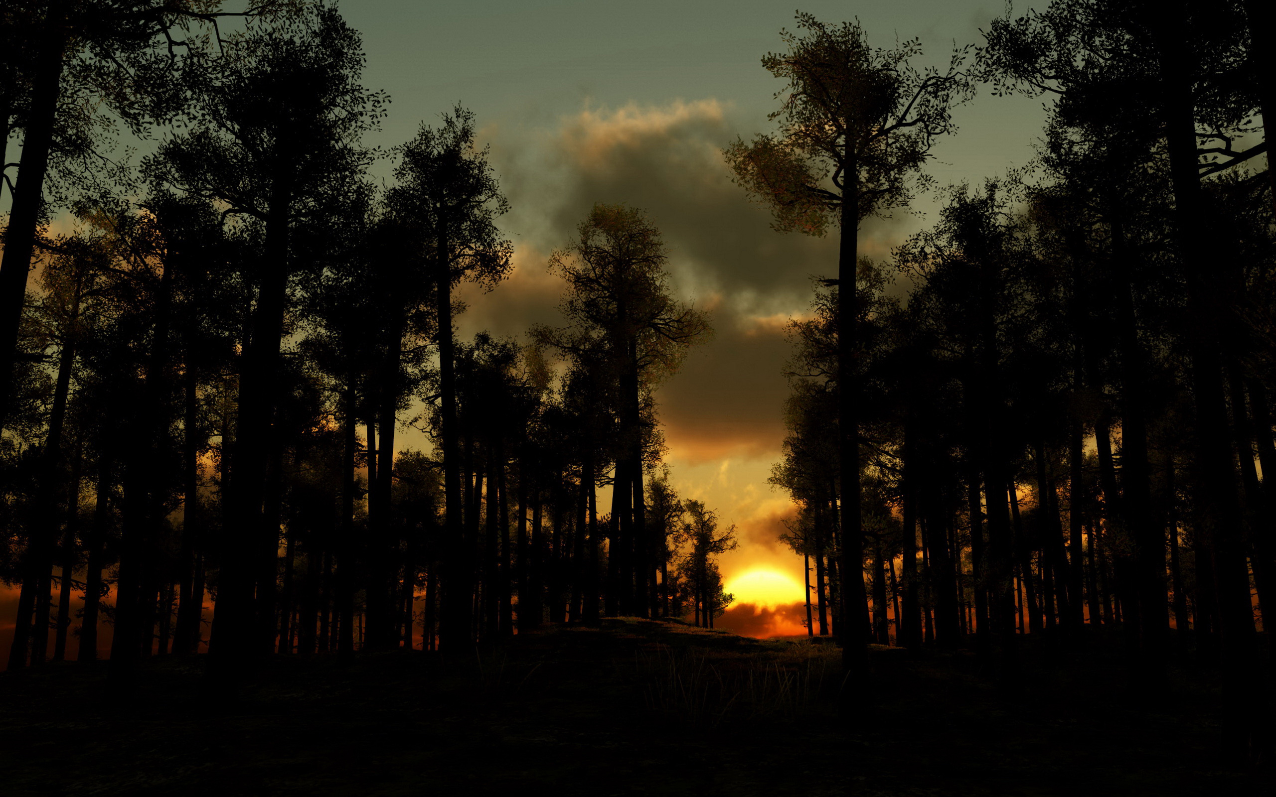 Обои деревья, вечер, лес, закат, тучи, закат солнца, лез, trees, the evening, forest, sunset, clouds, les разрешение 2560x1600 Загрузить