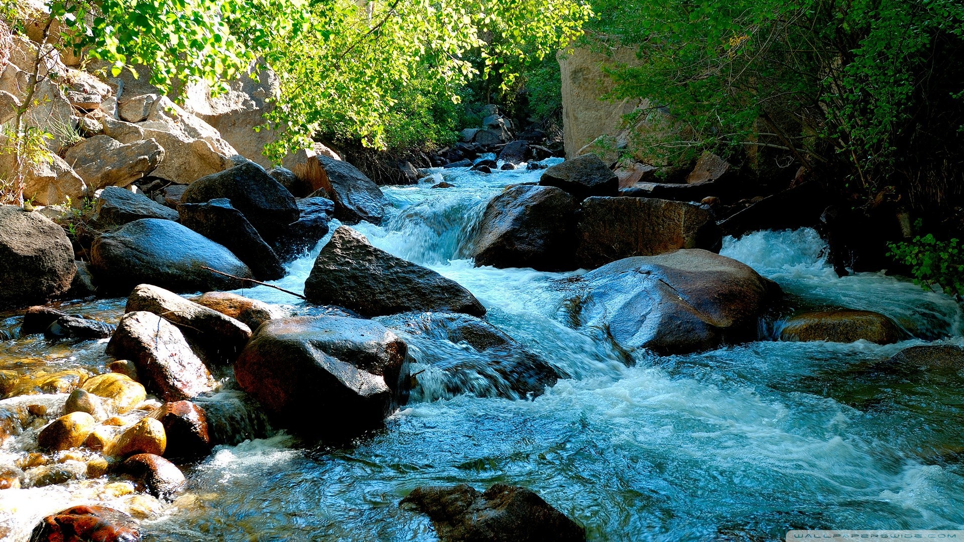 Обои вода, природа, камни, зелень, растения, water, nature, stones, greens, plants разрешение 1920x1080 Загрузить