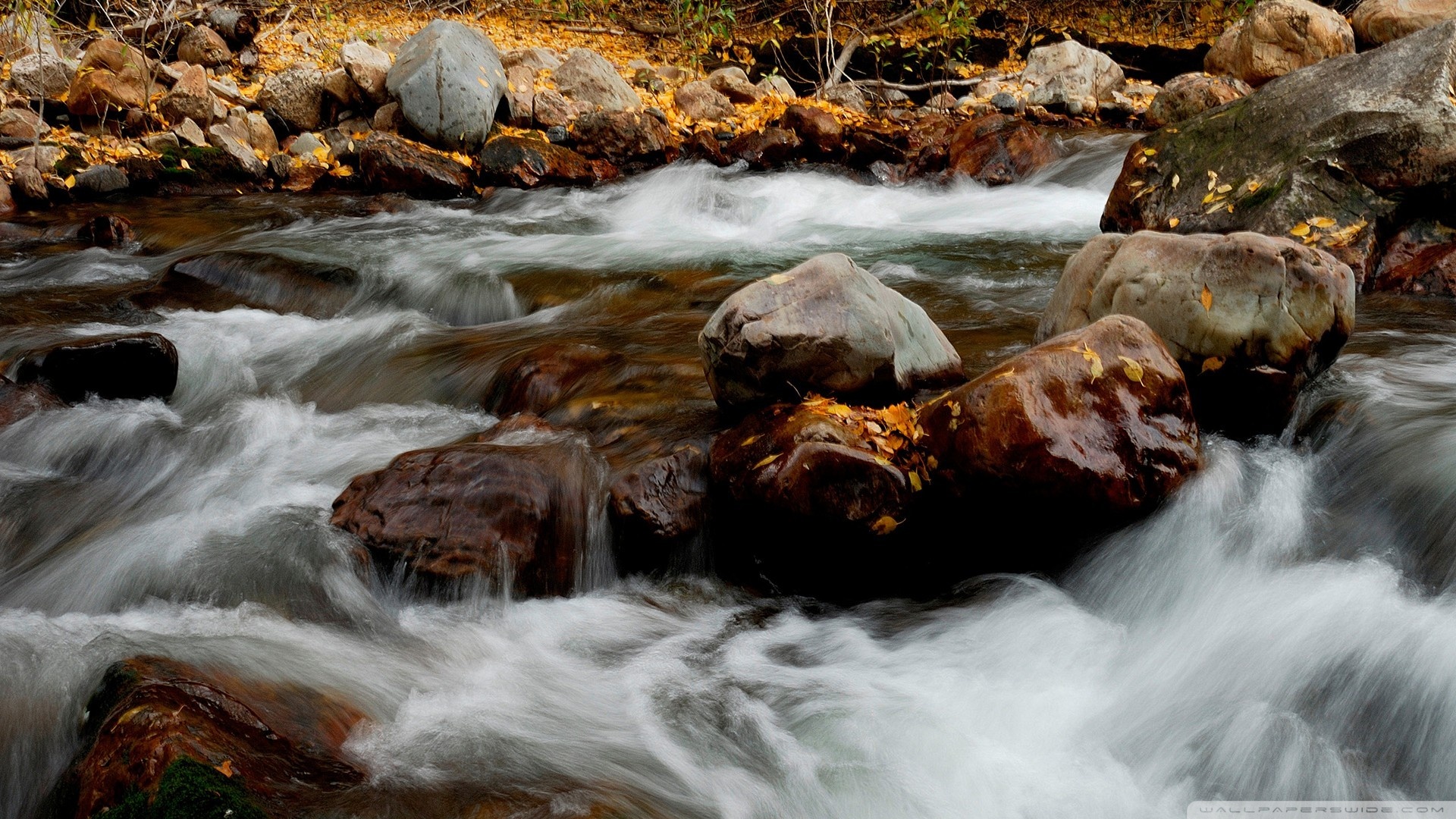 Обои река, природа, камни, листья, осень, river, nature, stones, leaves, autumn разрешение 1920x1080 Загрузить