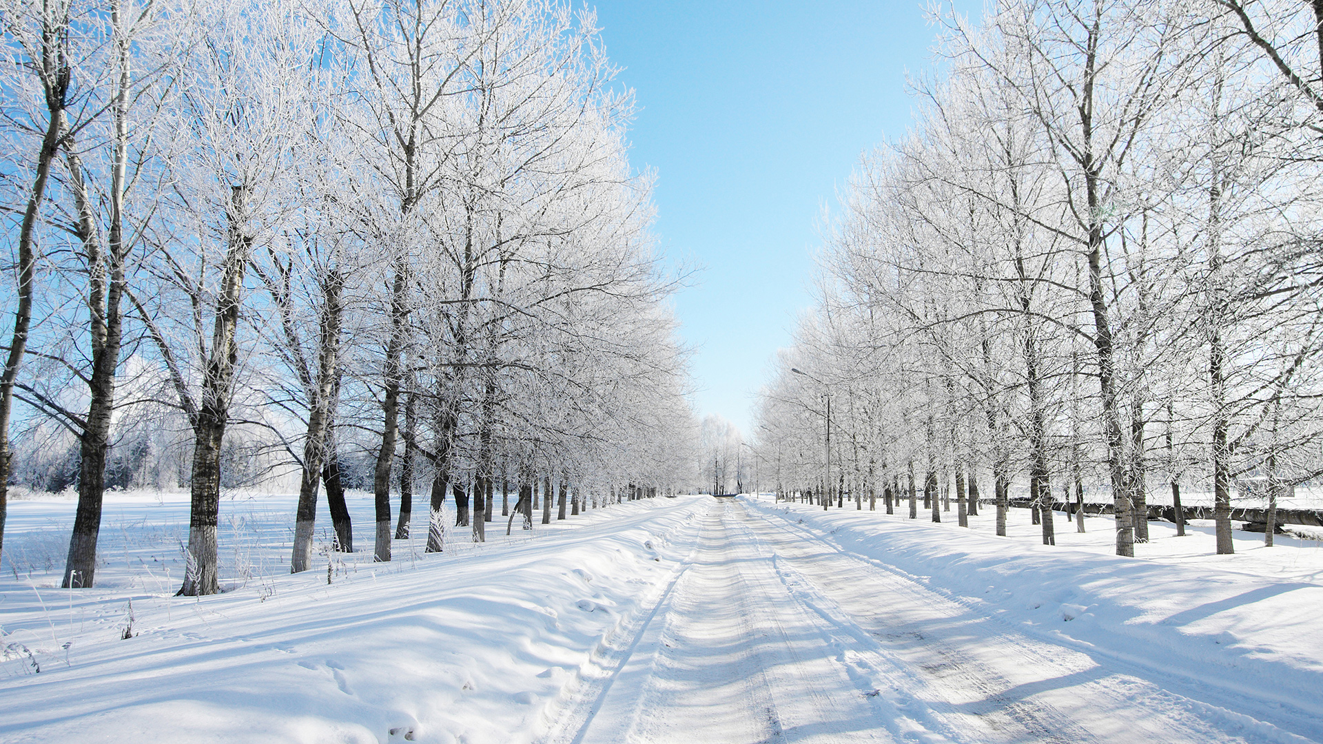 Обои дорога, деревья, снег, лес, зима, даль, road, trees, snow, forest, winter, dal разрешение 1920x1080 Загрузить