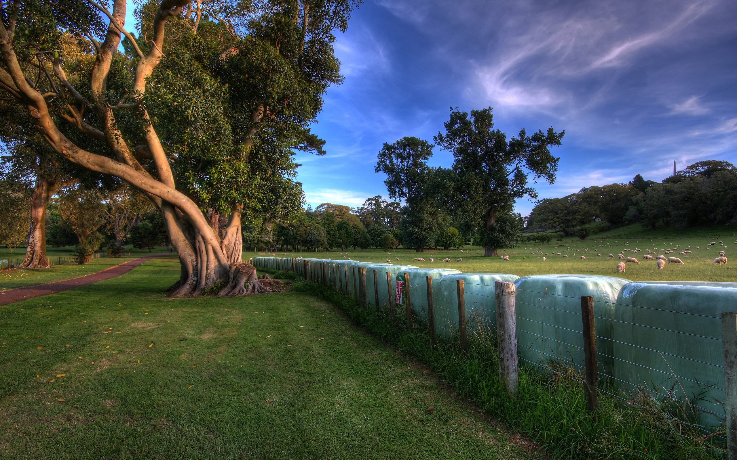 Обои деревья, луг, ограда, trees, meadow, fence разрешение 2560x1600 Загрузить