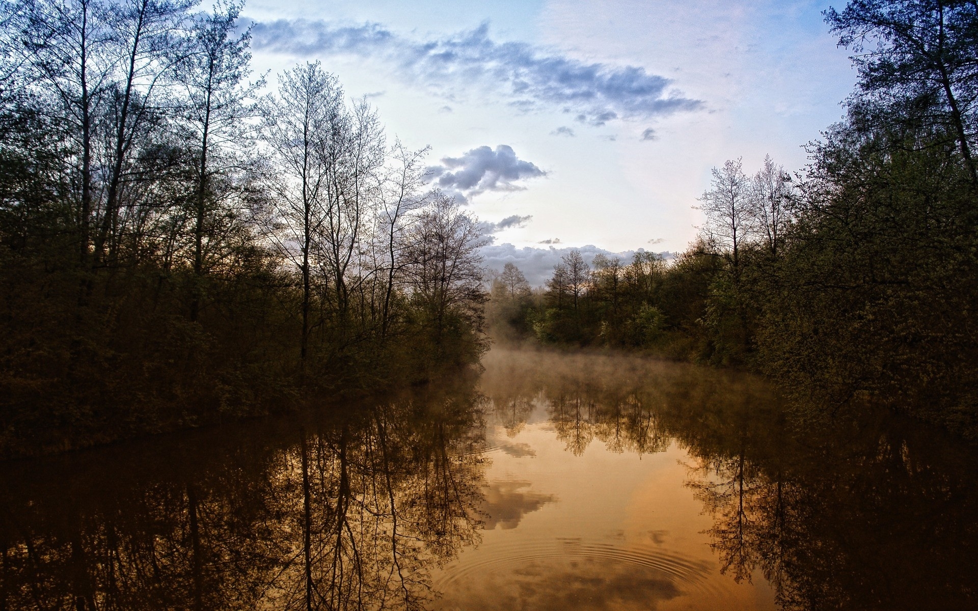 Обои деревья, дымка, вечер, река, природа, фото, вид, красота, леса, trees, haze, the evening, river, nature, photo, view, beauty, forest разрешение 1920x1200 Загрузить