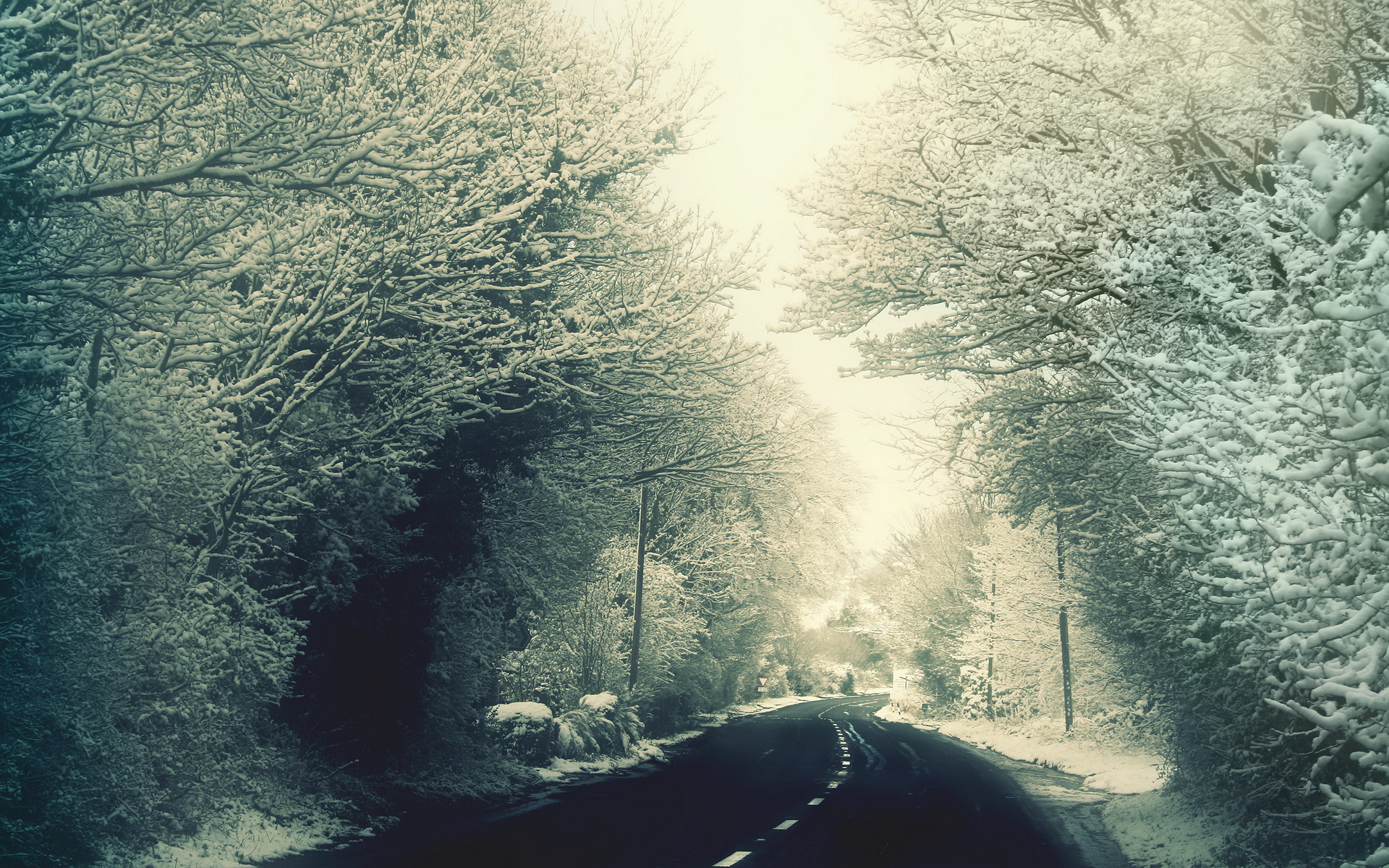 Обои дорога, деревья, снег, зима, ветки, мороз, иней, road, trees, snow, winter, branches, frost разрешение 1920x1200 Загрузить