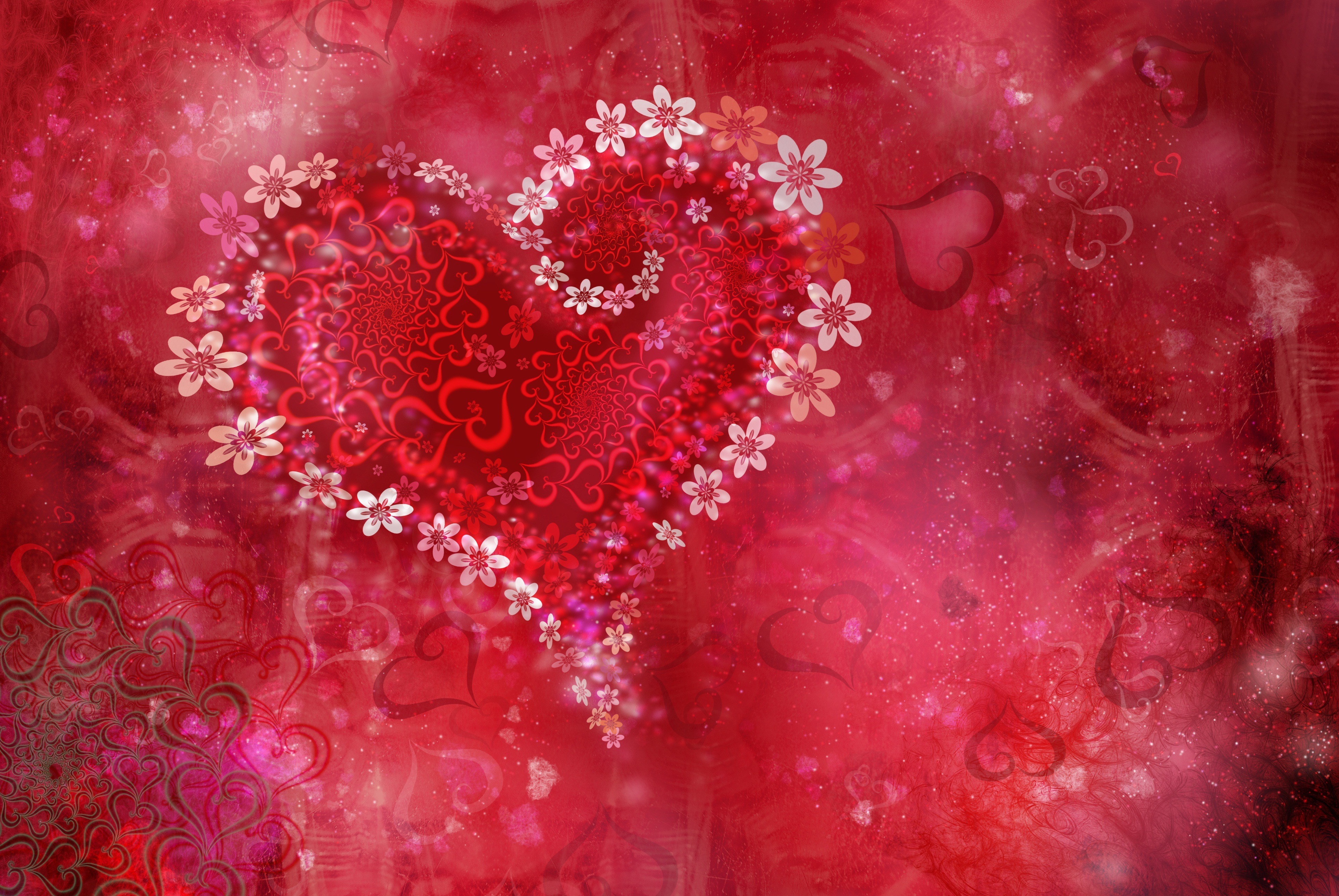Обои цветы, сердце, праздник, день валентина, valentine flowers, flowers, heart, holiday, valentine's day разрешение 3872x2592 Загрузить