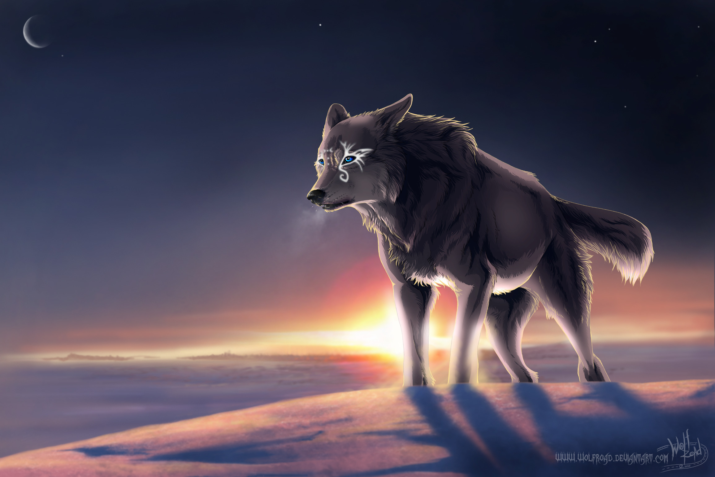 Обои зима, волк, магический, winter, wolf, magic разрешение 2310x1540 Загрузить
