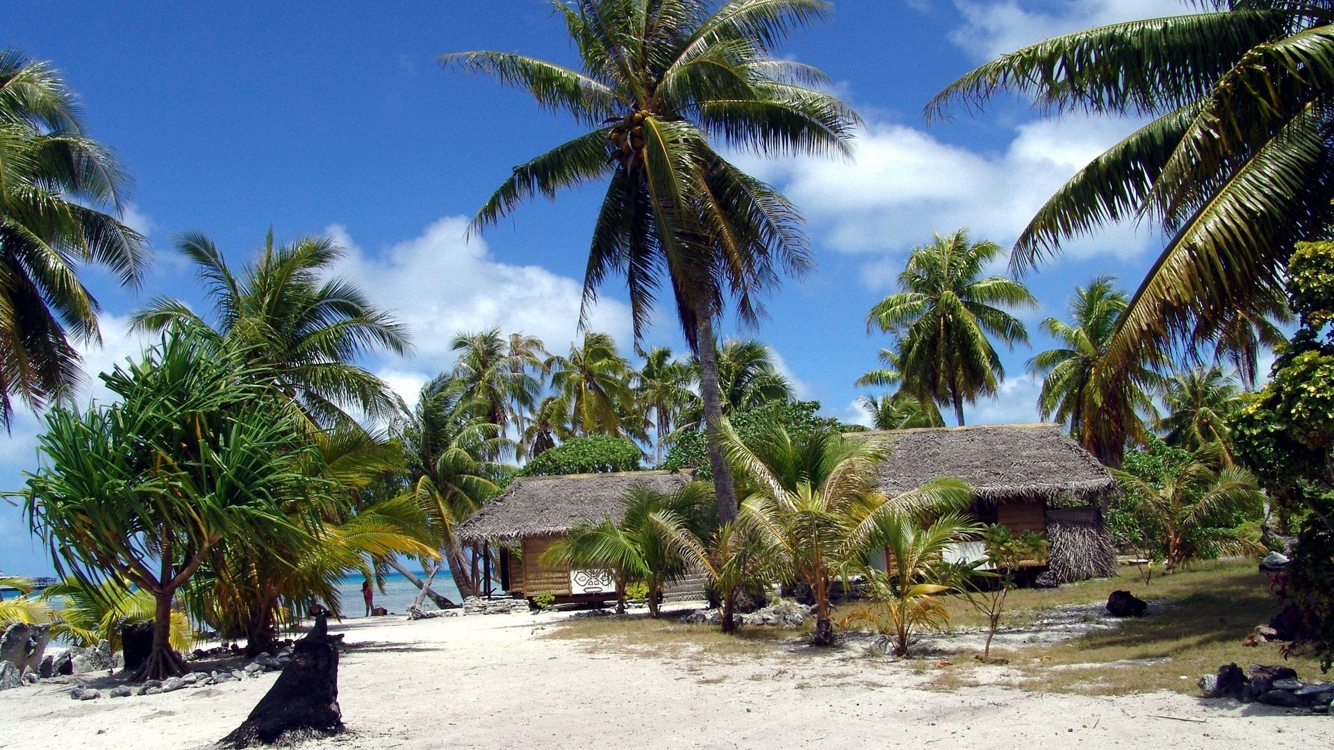 Обои солнце, пляж, пальмы, бунгало, французская полинезия, the sun, beach, palm trees, bungalow, french polynesia разрешение 1920x1080 Загрузить