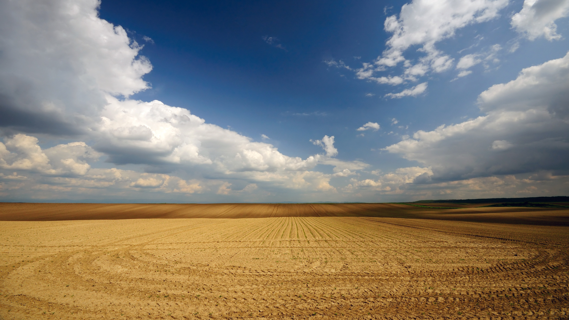 Обои небо, облака, поле, горизонт, the sky, clouds, field, horizon разрешение 1920x1080 Загрузить