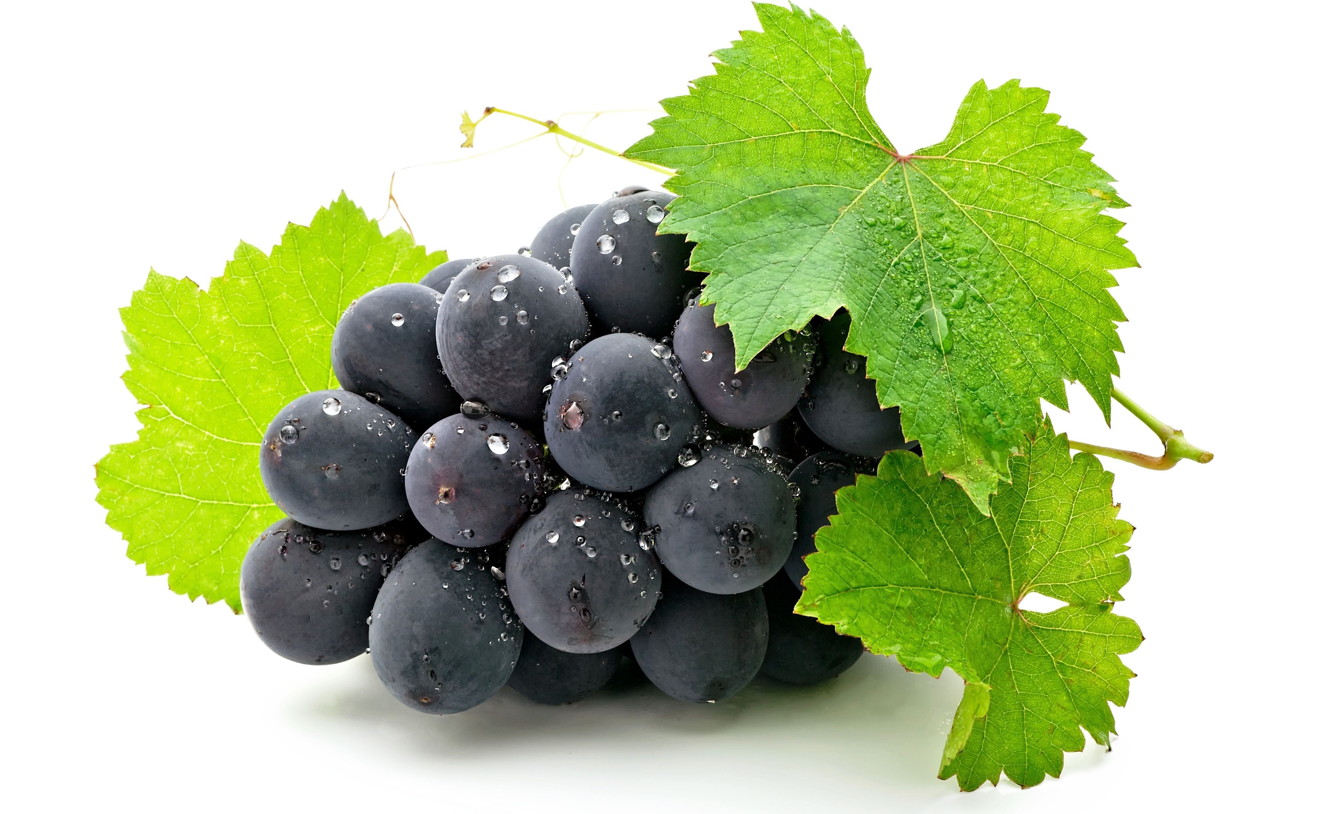 Виноград вино гроздь ветка загрузить