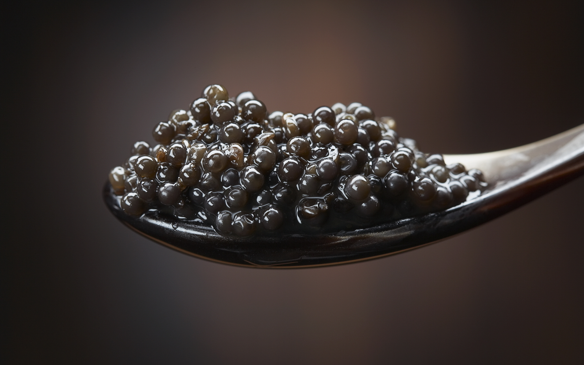 Обои макро, черная, вкусно, икра, ложка, ням-ням, черная икра, macro, black, delicious, caviar, spoon, yum-yum, black caviar разрешение 1920x1200 Загрузить